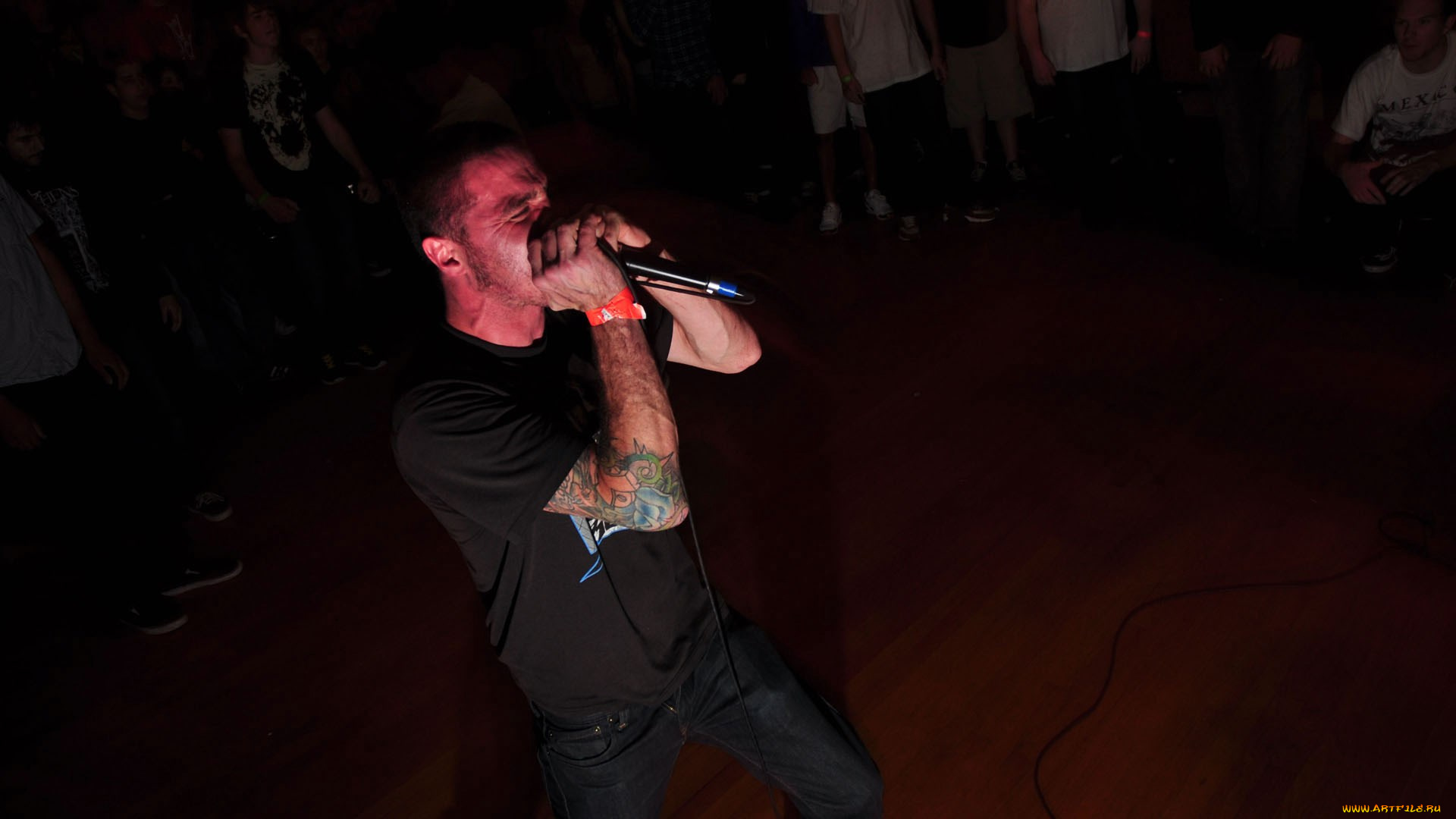 new-lows, музыка, -другое, музыкант