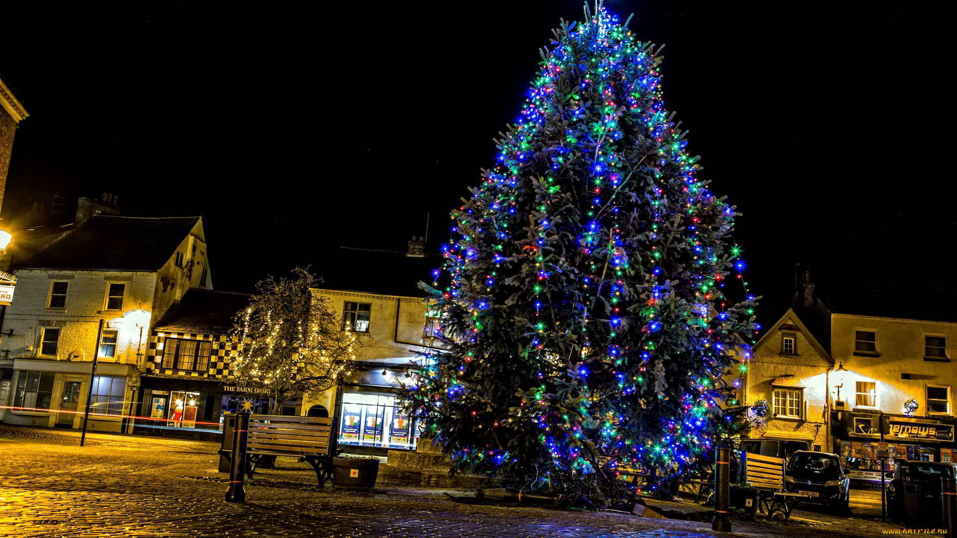 праздничные, ёлки, площадь, гирлянды, вечер, елка