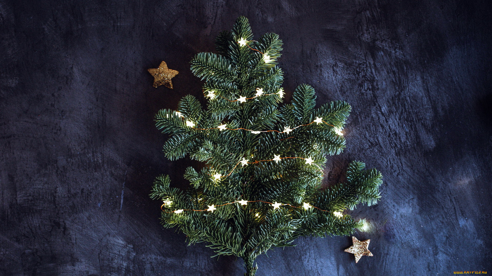 праздничные, ёлки, звездочки, ветка