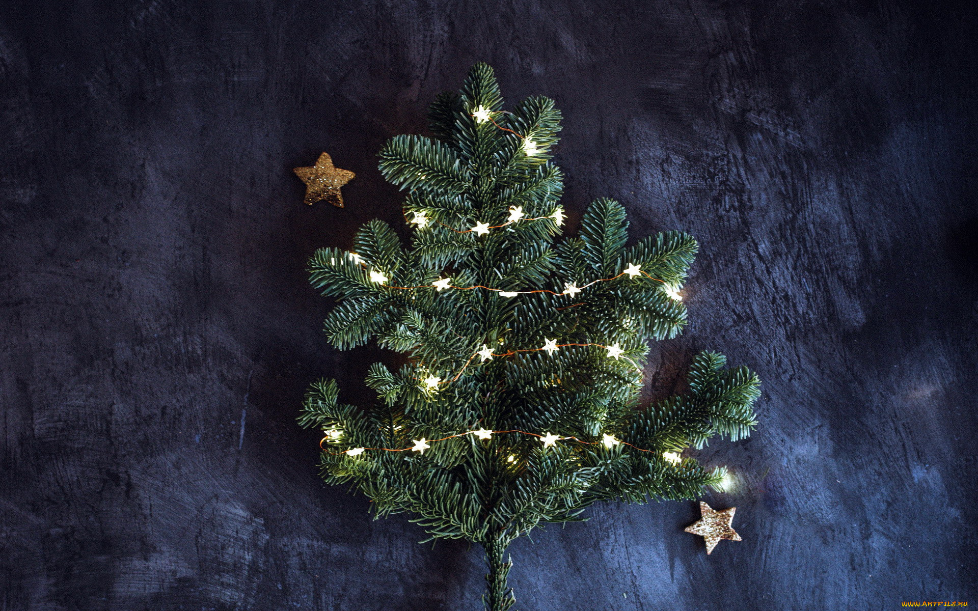 праздничные, ёлки, звездочки, ветка