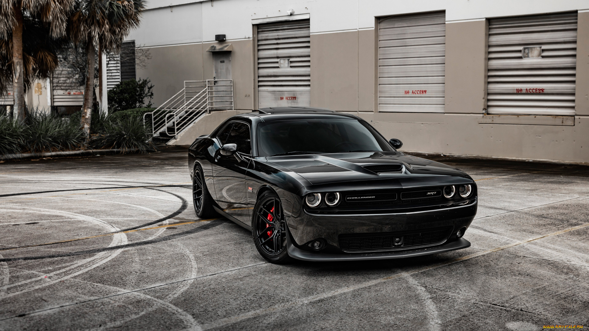 автомобили, dodge, challenger