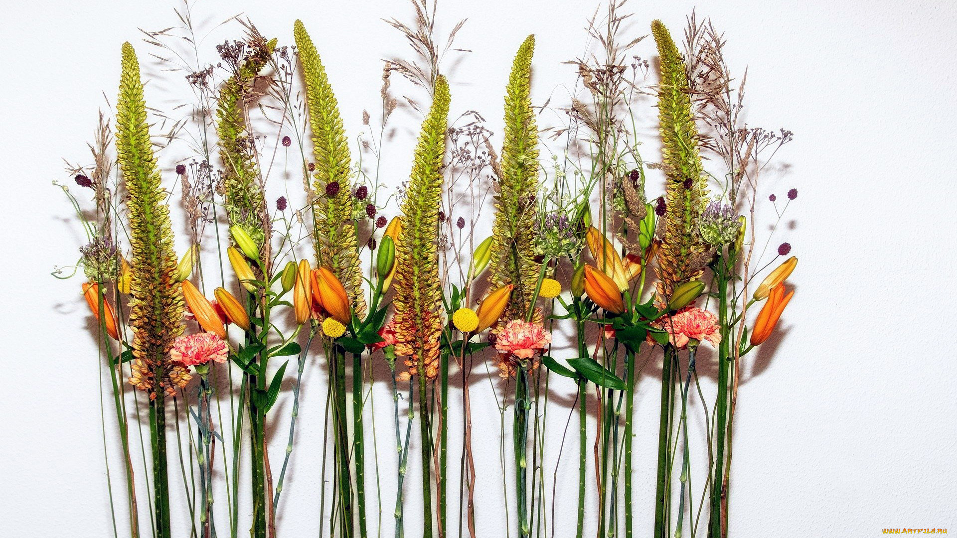 цветы, разные, вместе, гвоздика, лилии