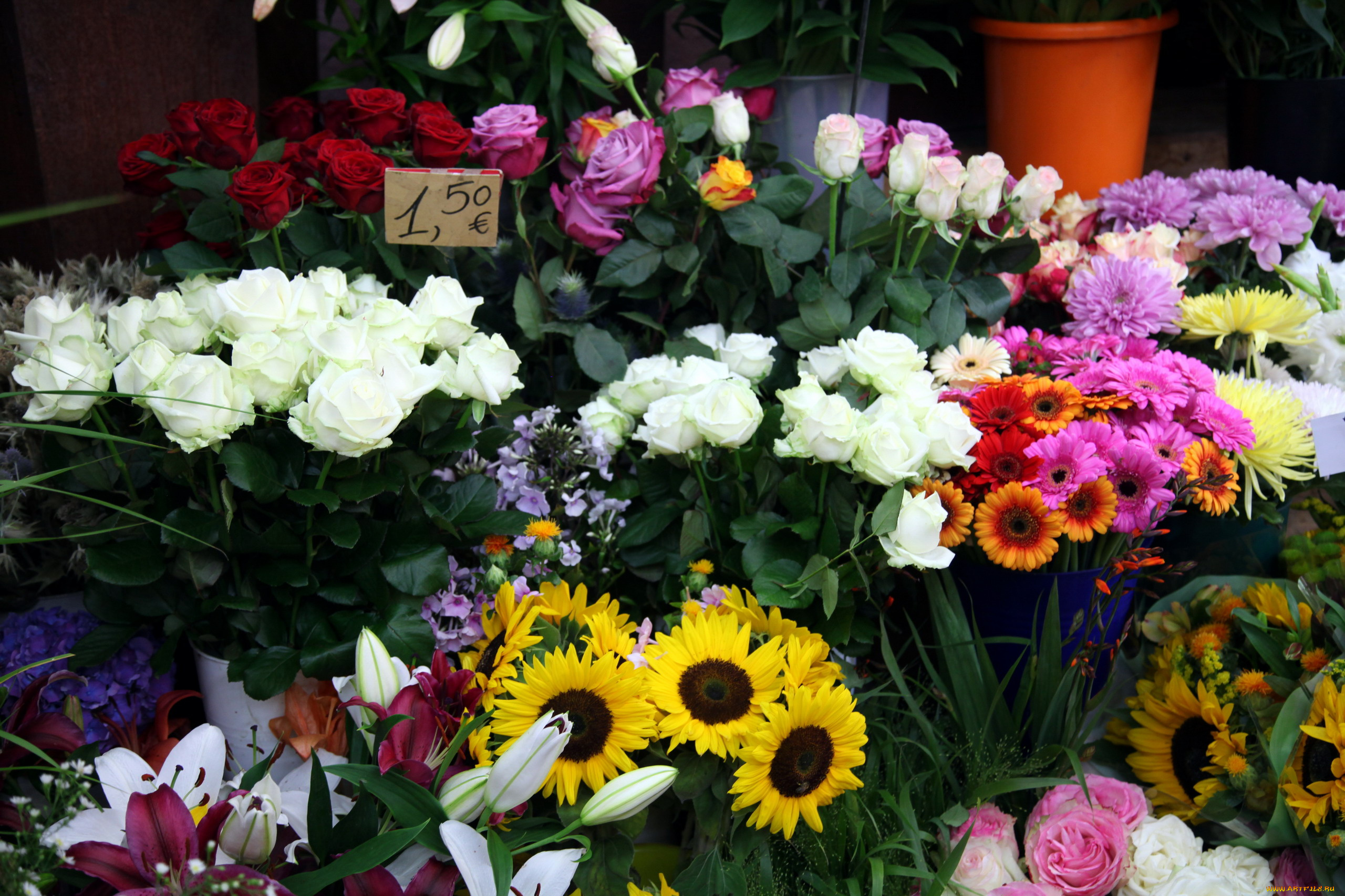 цветы, разные, вместе, розы, лилии, герберы