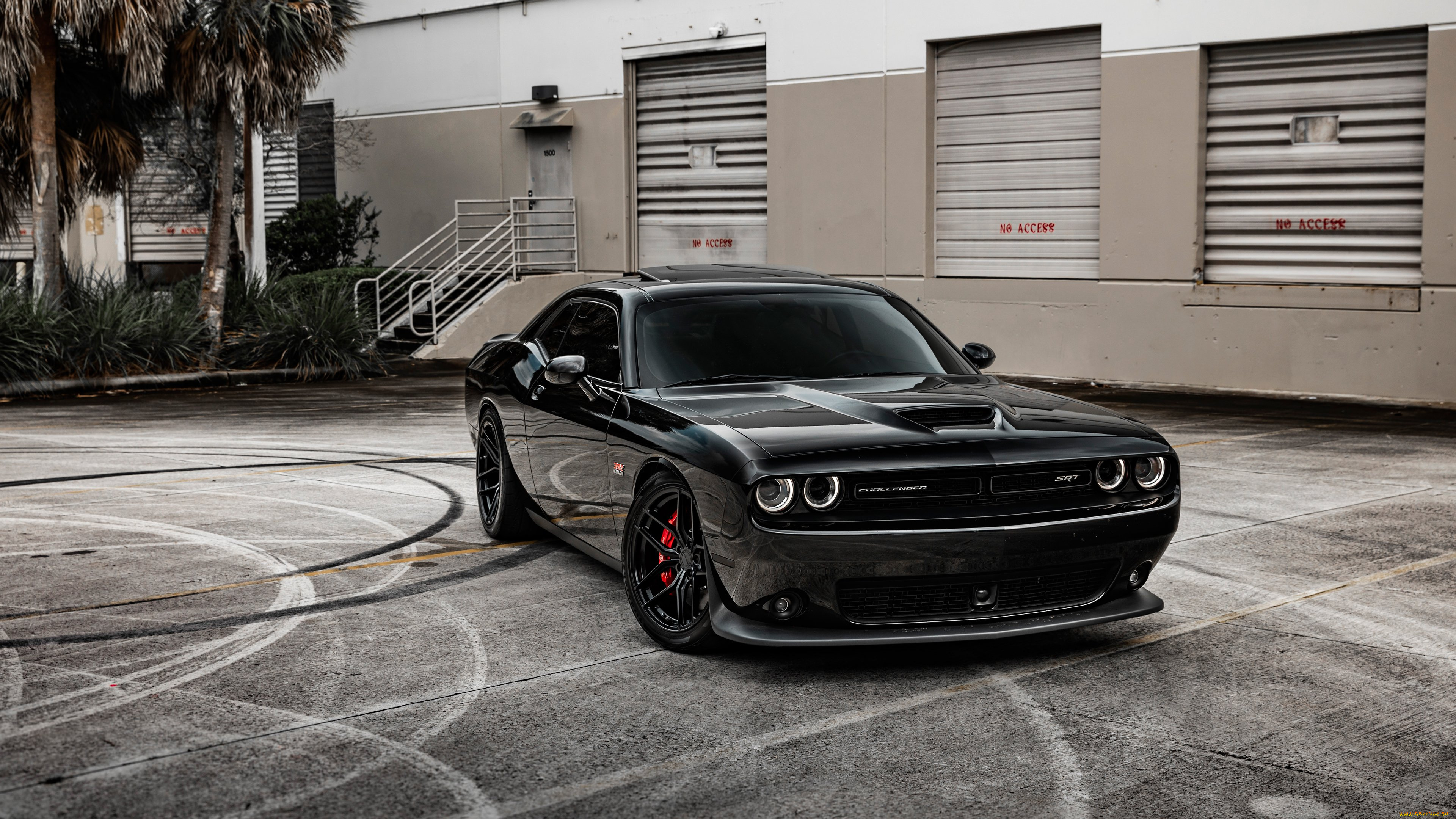 автомобили, dodge, challenger