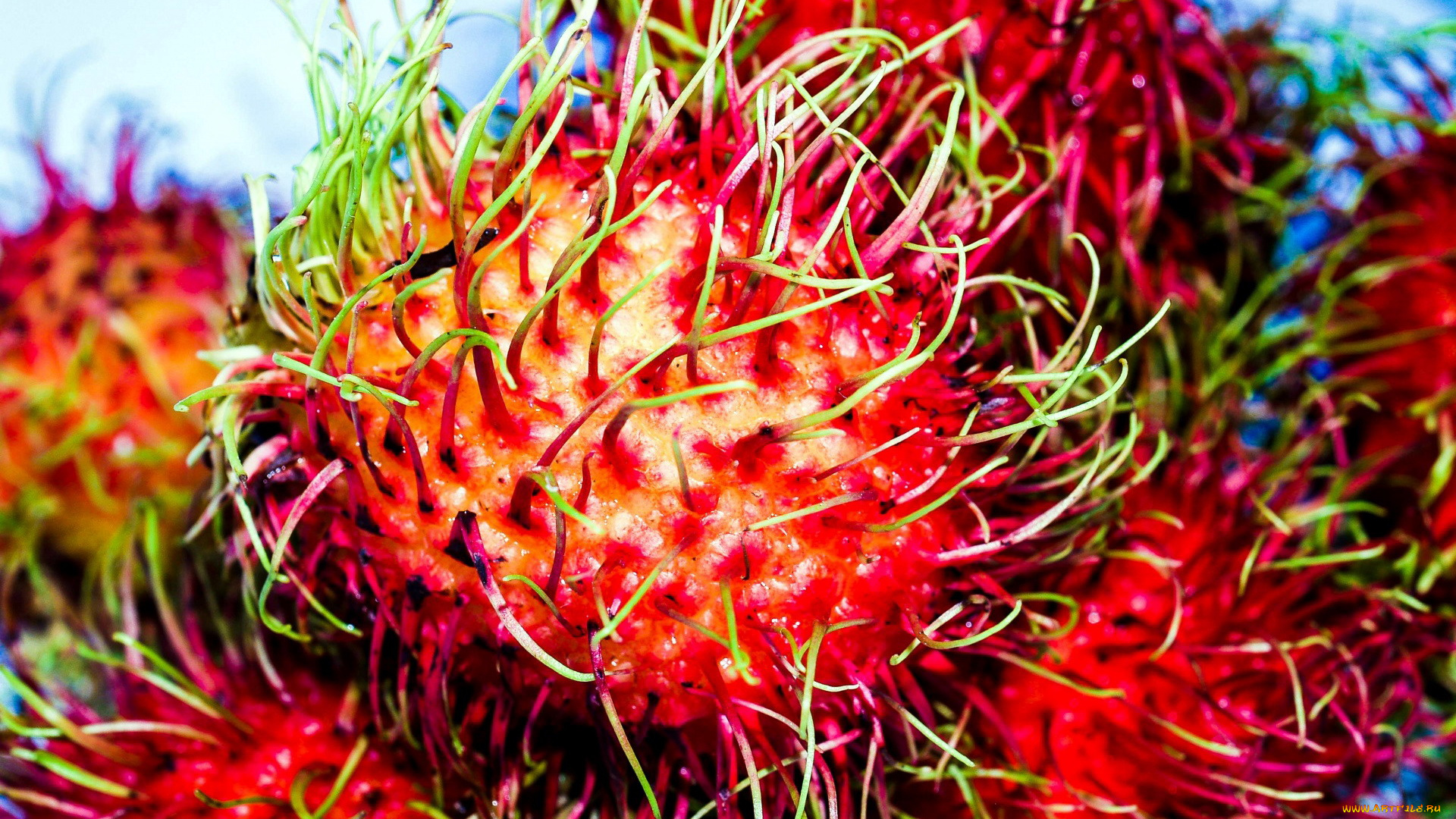 еда, рамбутан, экзотический, фрукт