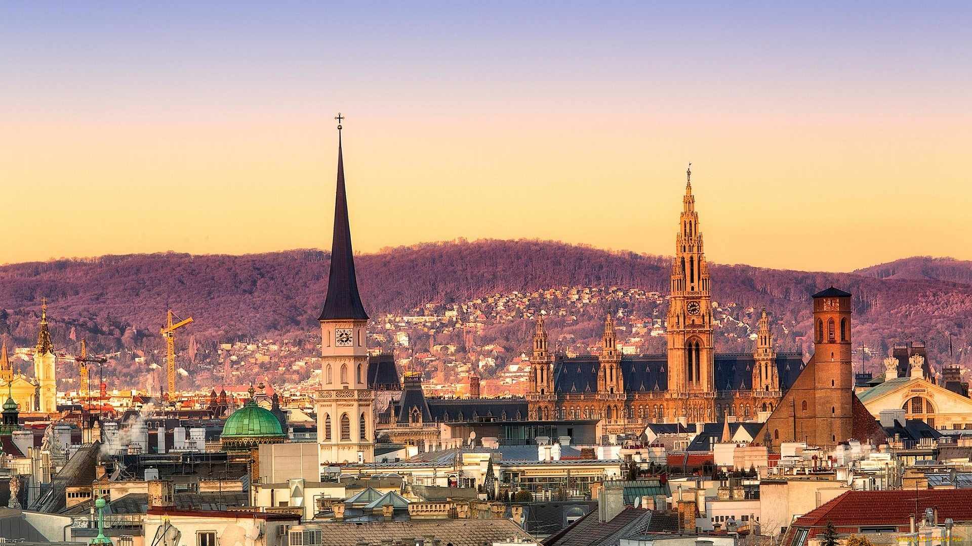 города, вена, , австрия, панорама