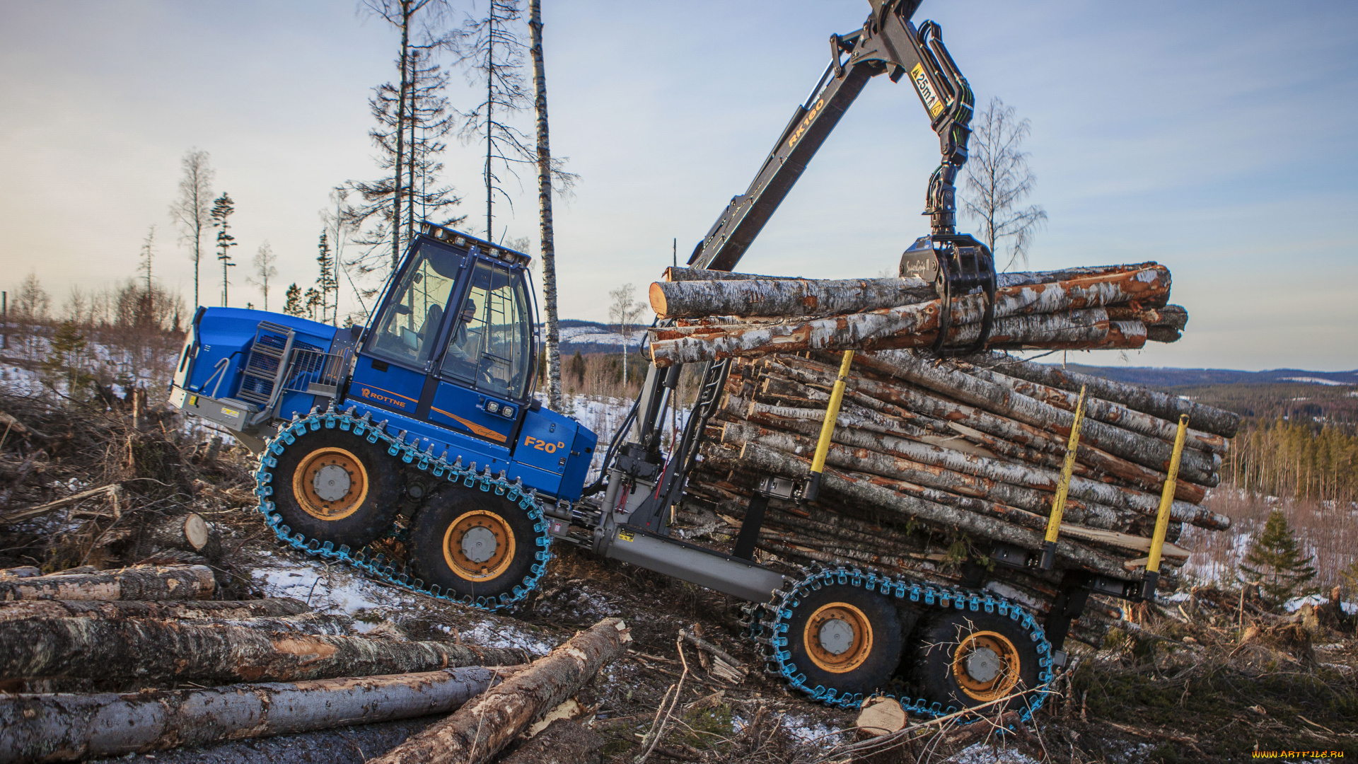 техника, лесоповалочная, техника, rottne