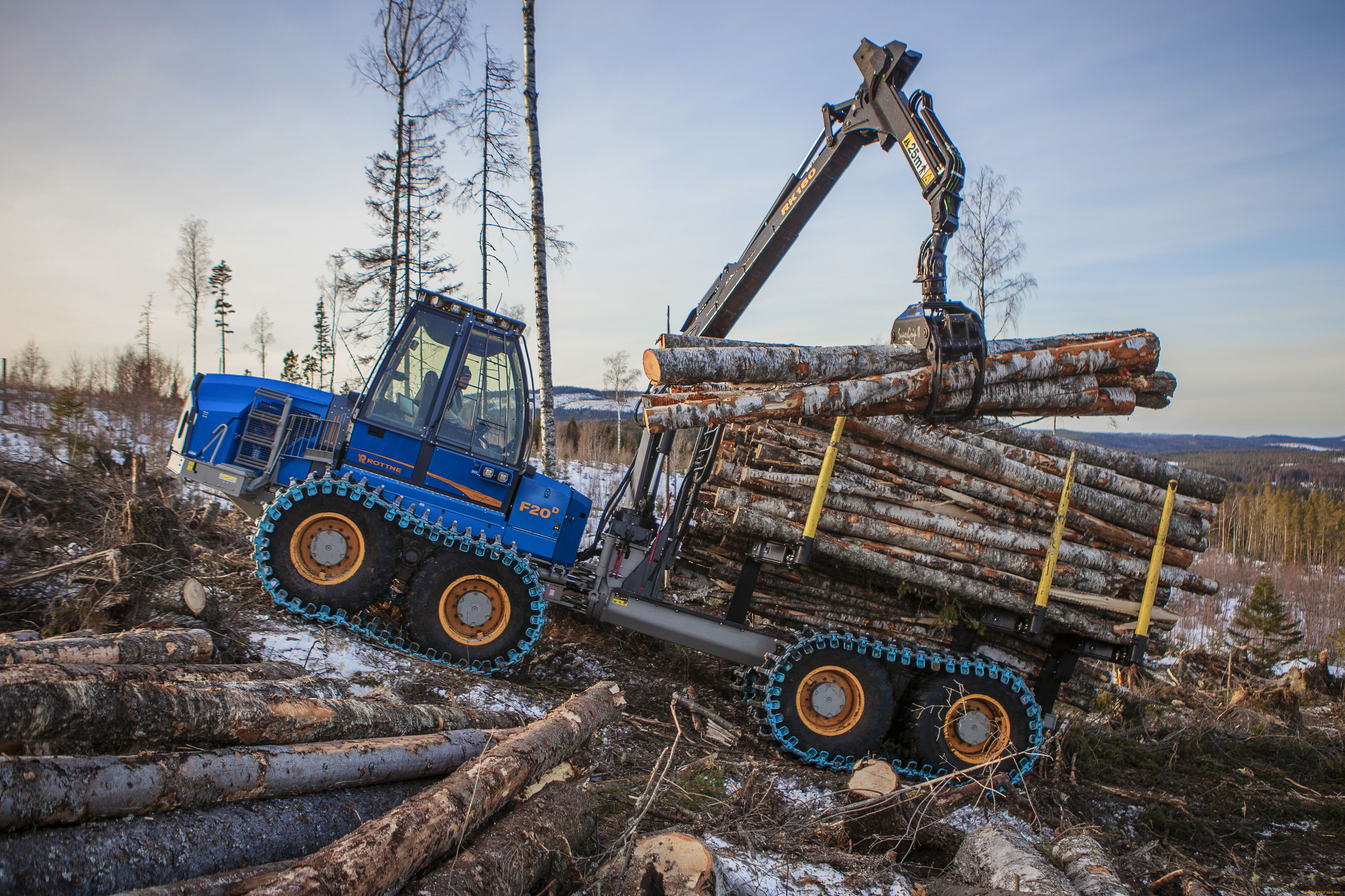 техника, лесоповалочная, техника, rottne