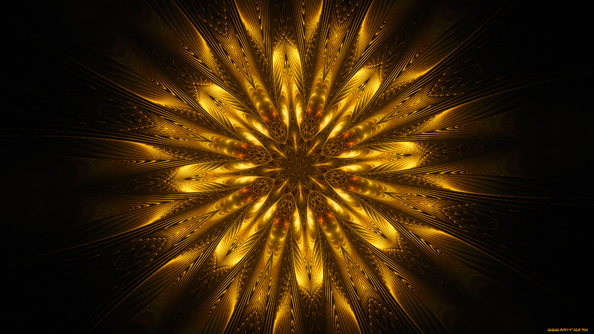 3д, графика, цветы, , flowers, цветок