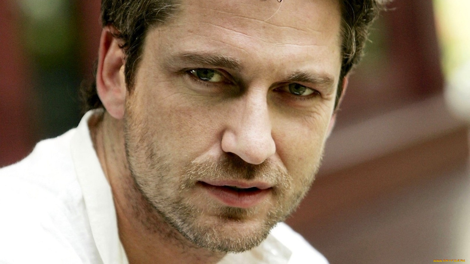 мужчины, gerard, butler, актер, лицо