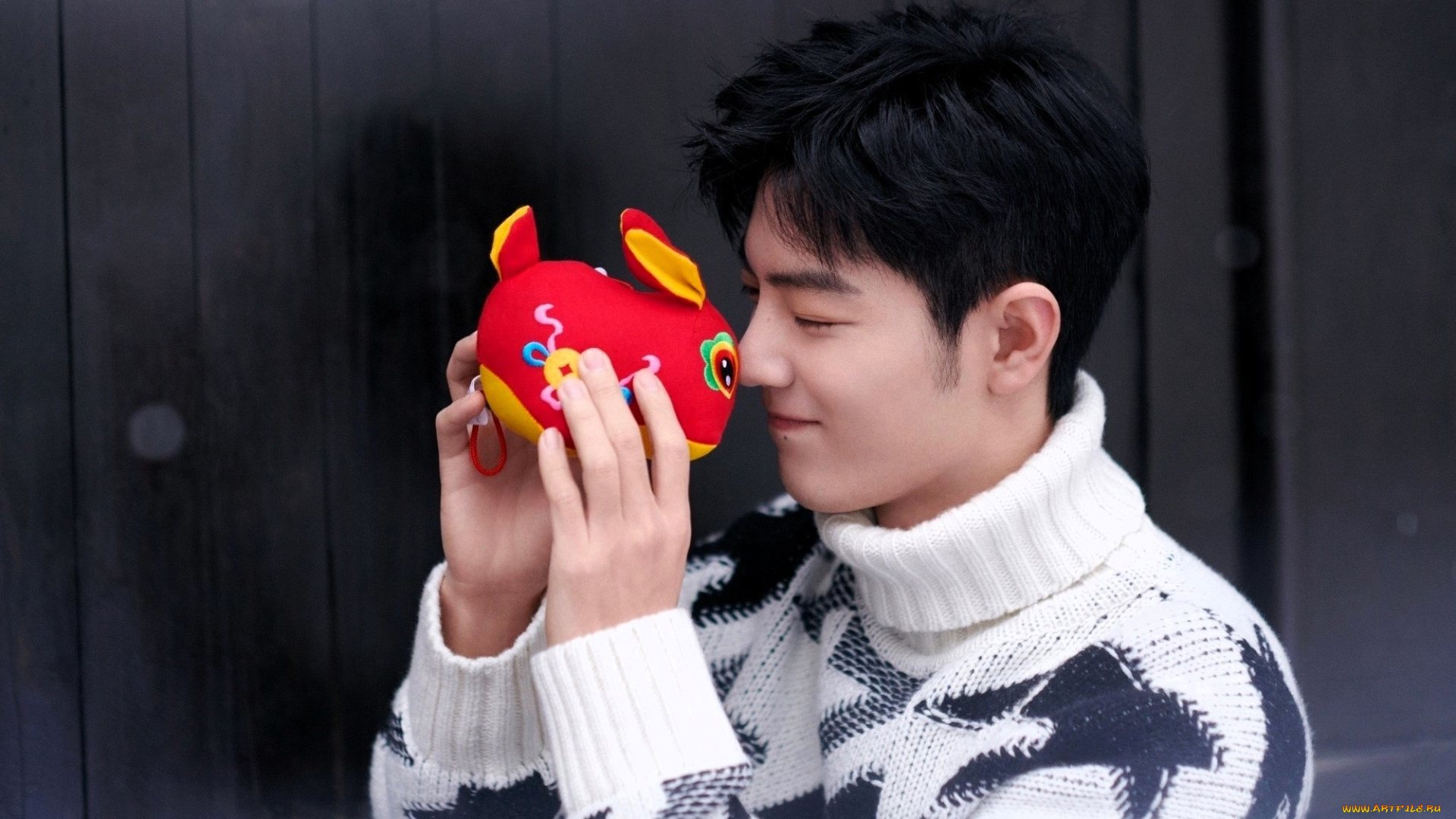 мужчины, xiao, zhan, актер, свитер, кролик, игрушка