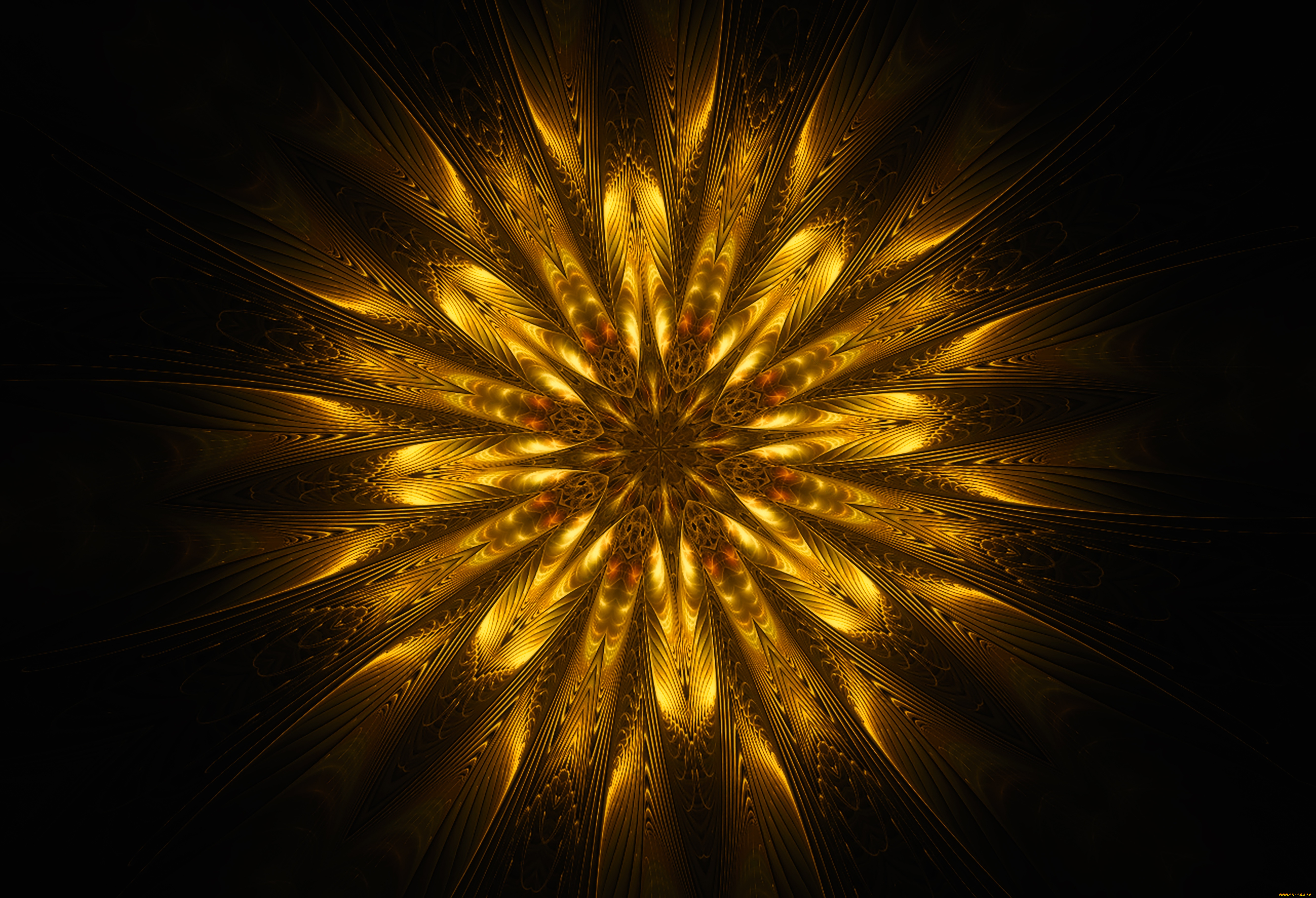 3д, графика, цветы, , flowers, цветок