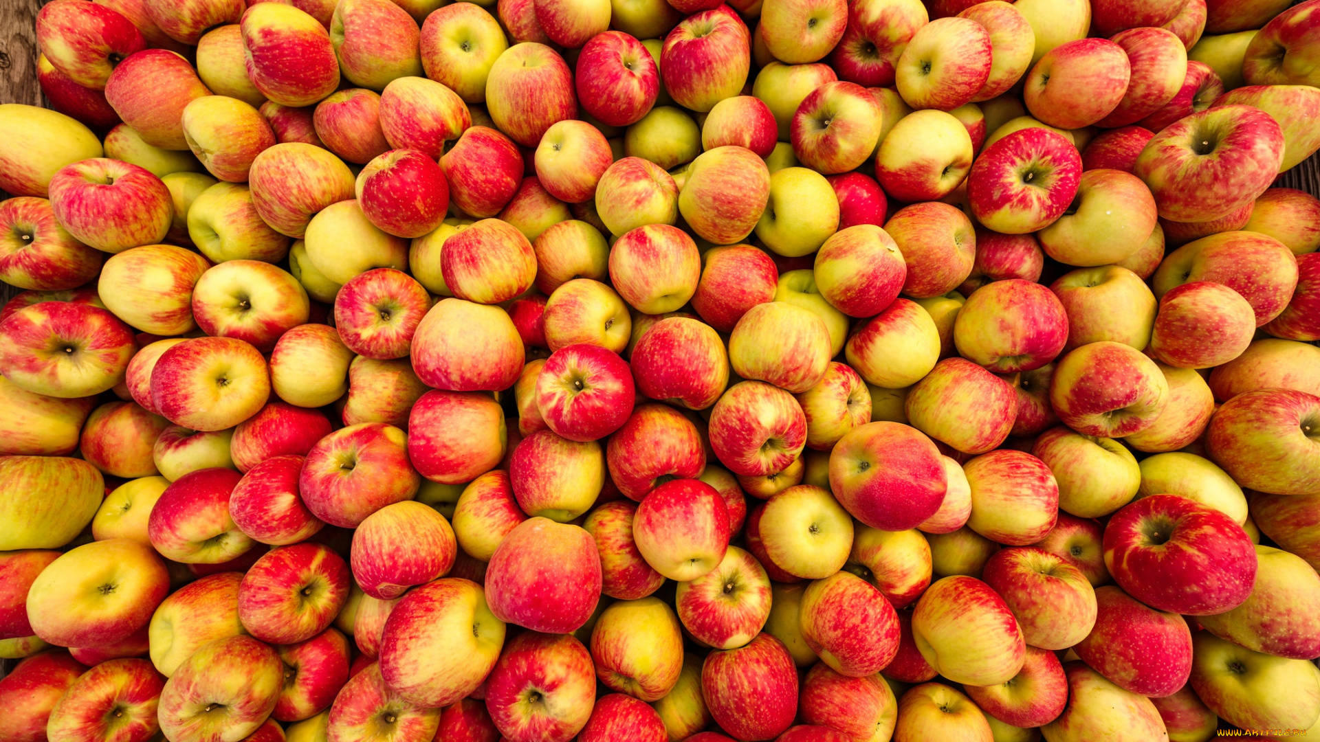 еда, яблоки