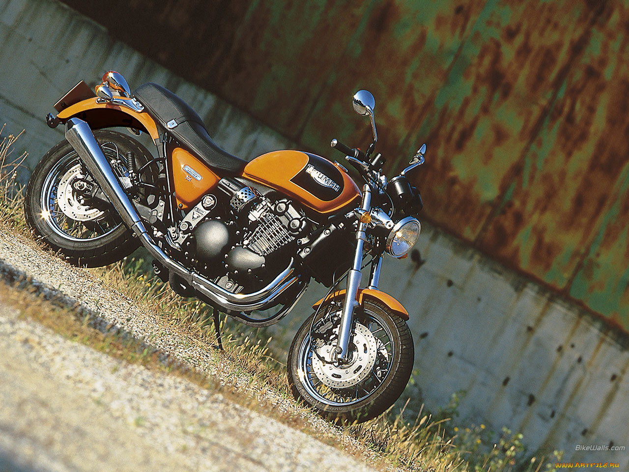 мотоциклы, triumph