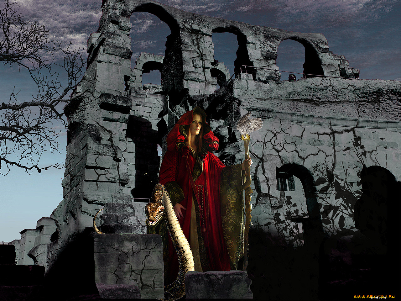 жрица, фэнтези, девушки