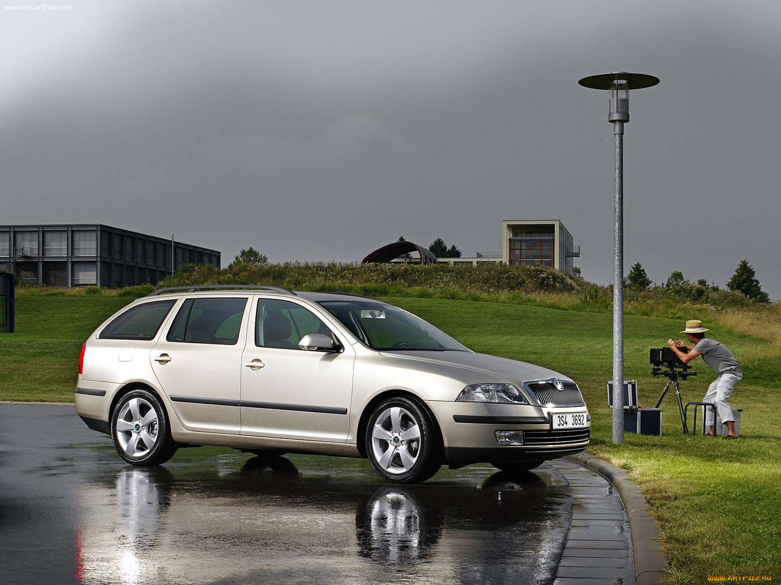 octavia, автомобили, skoda