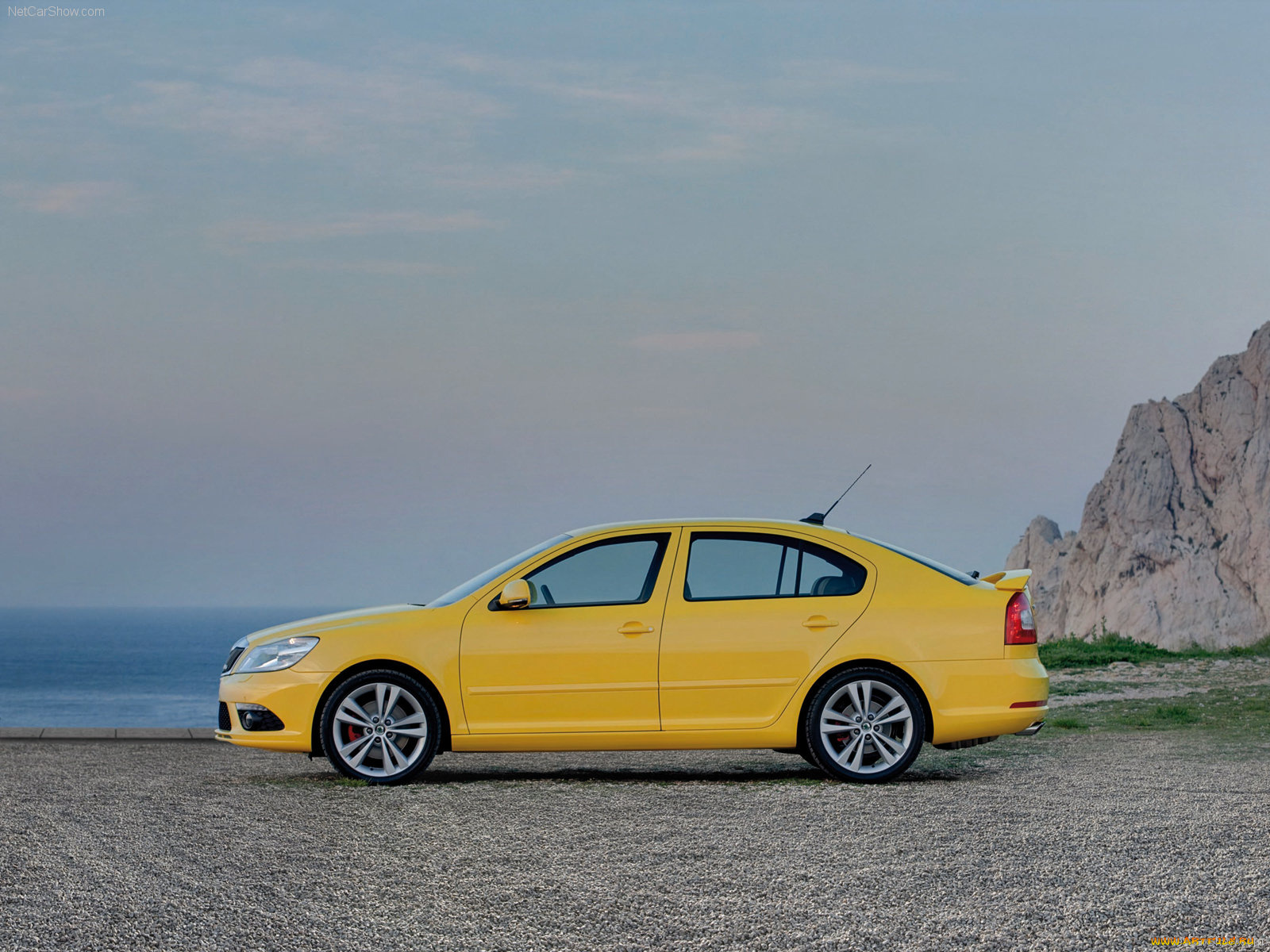 octavia, rs, автомобили, skoda