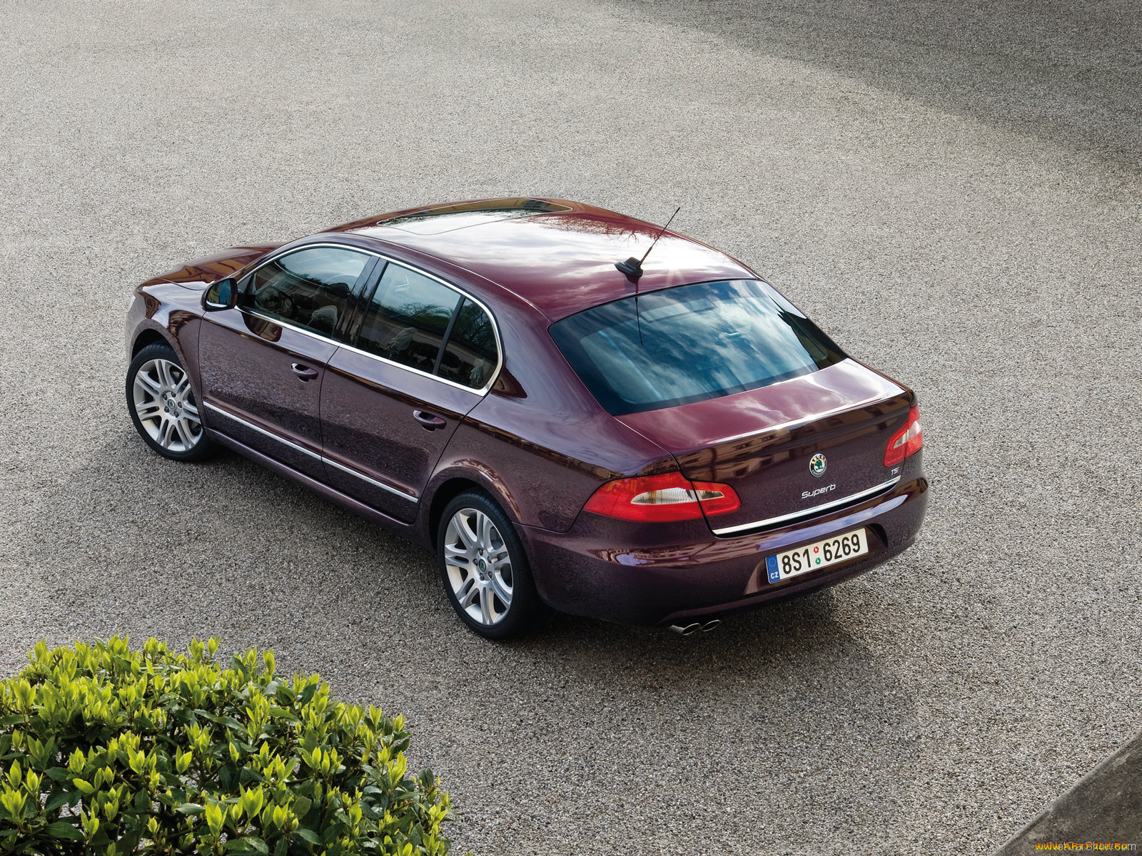 superb, автомобили, skoda