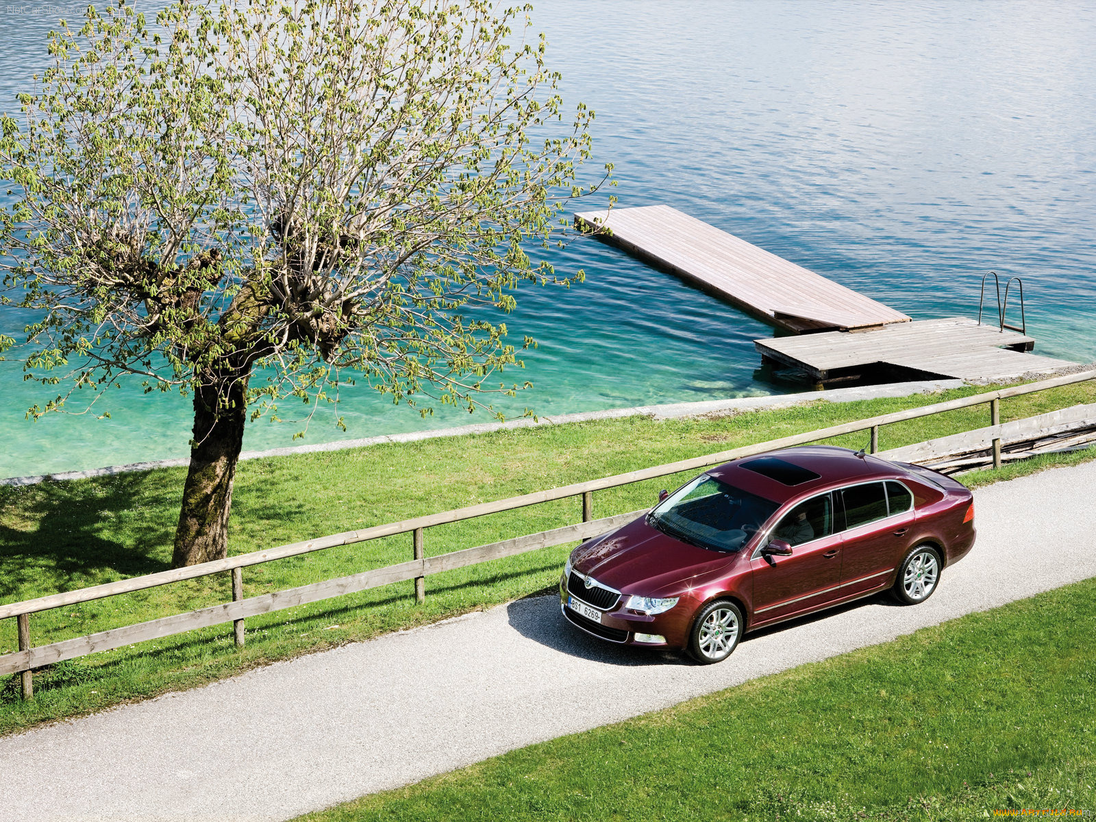 superb, автомобили, skoda