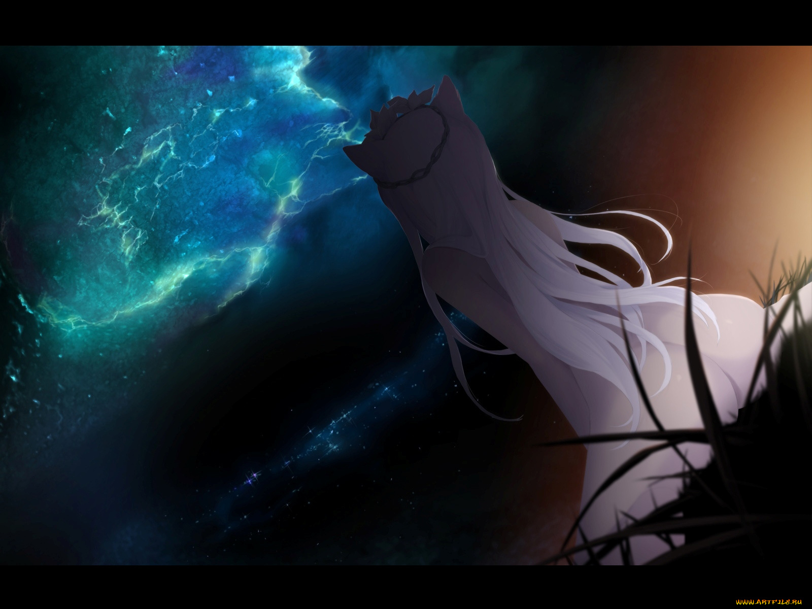 аниме, bakemonogatari, hanekawa, tsubasa, девушка, ночь, ушки, кошка, трава