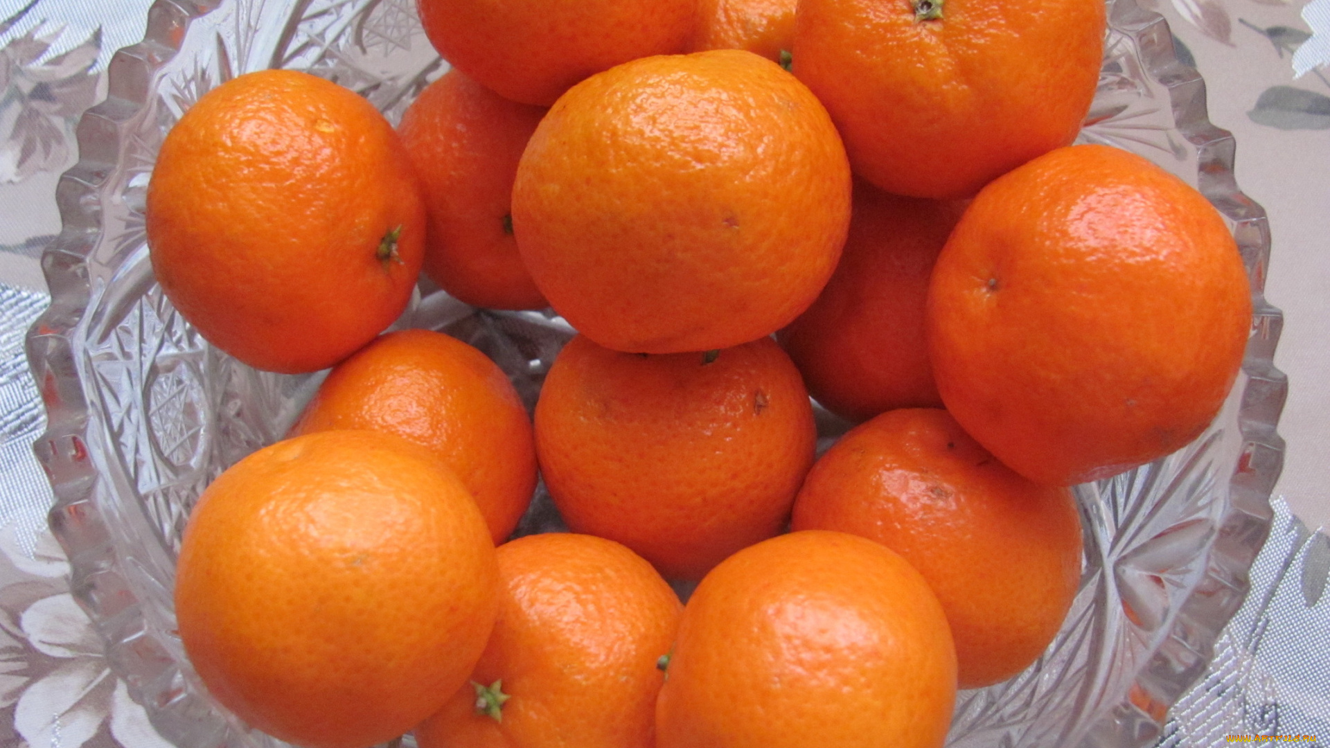 еда, цитрусы, оранжевые