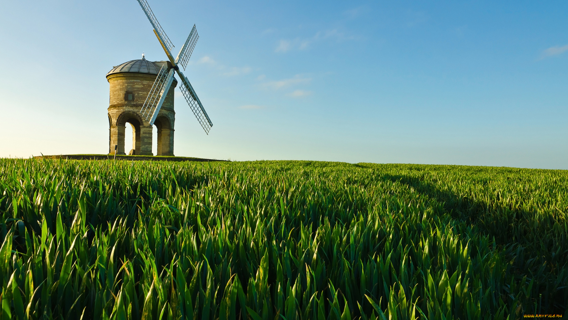 природа, поля, трава, небо, мельница