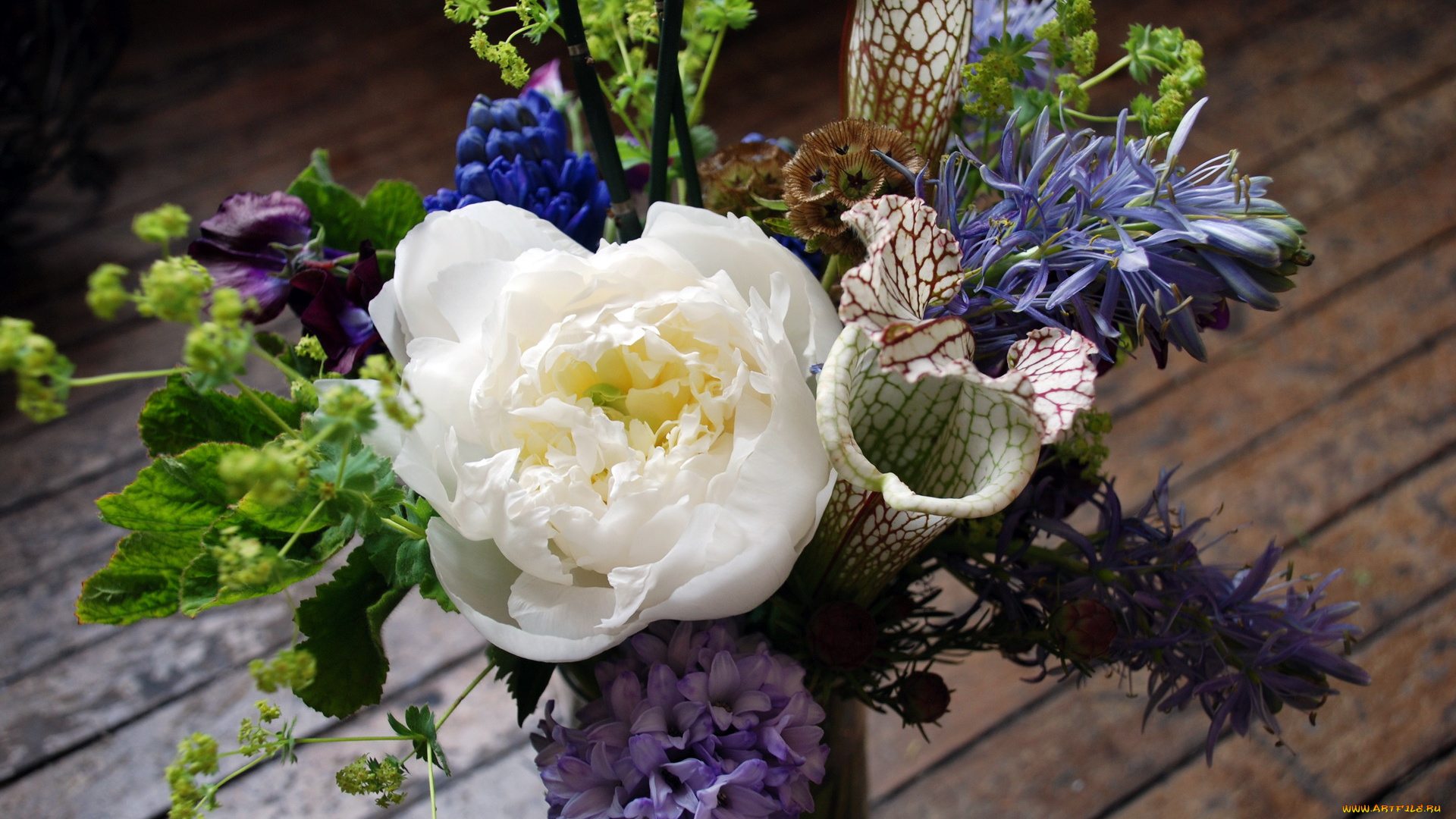 цветы, букеты, композиции, букет