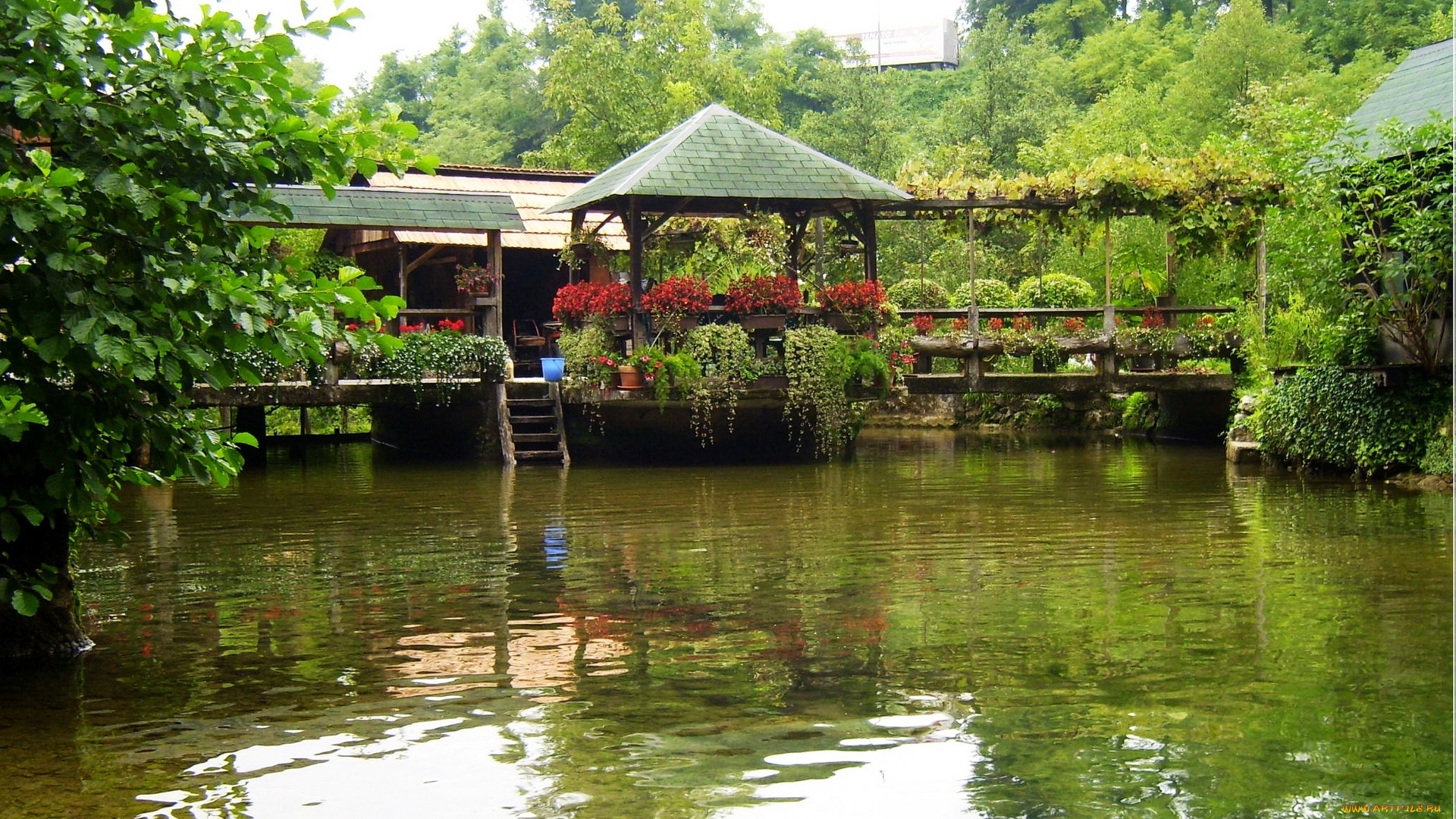 хорватия, слунь, природа, парк, цветы