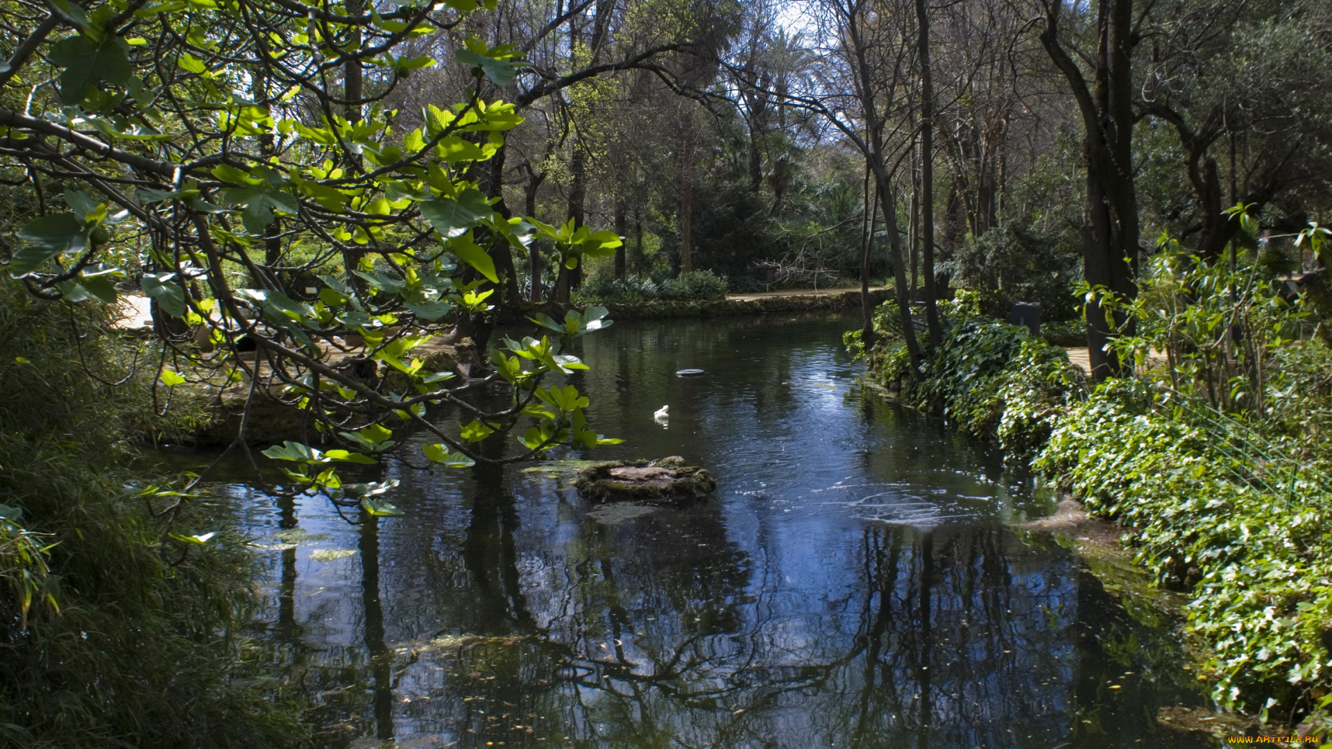 испания, андалусия, севилья, природа, парк, река, деревья