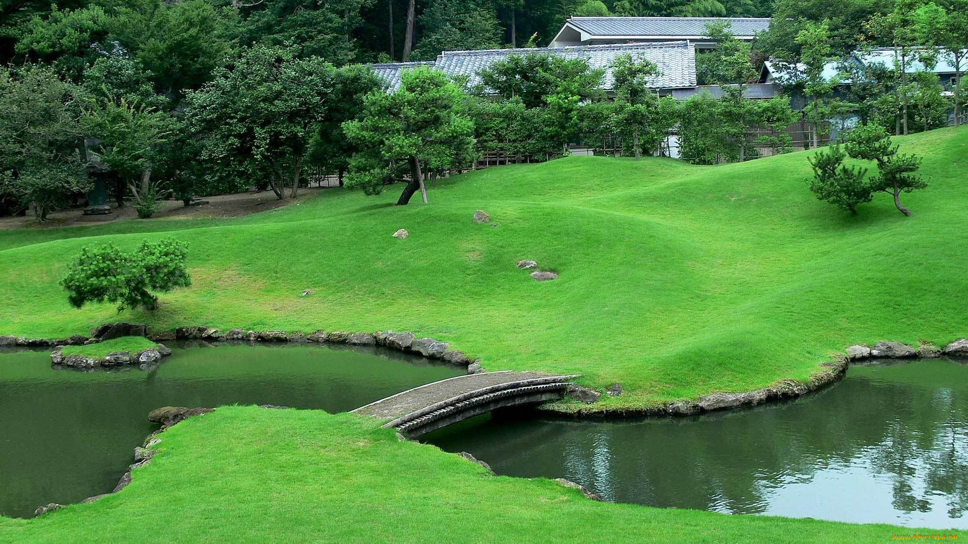 природа, парк, водоем, мостик, газон