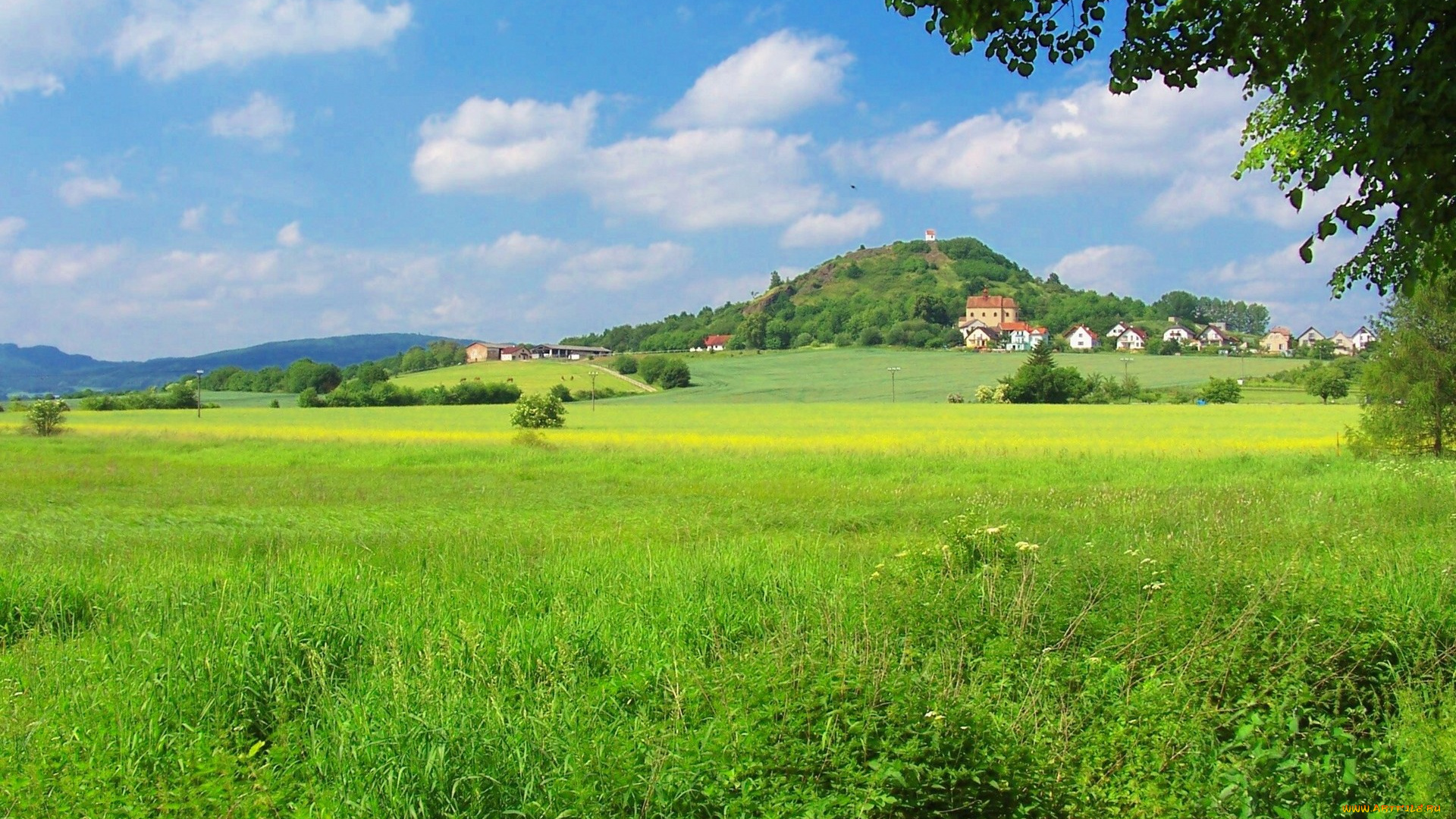 природа, поля, поле, холм, дома