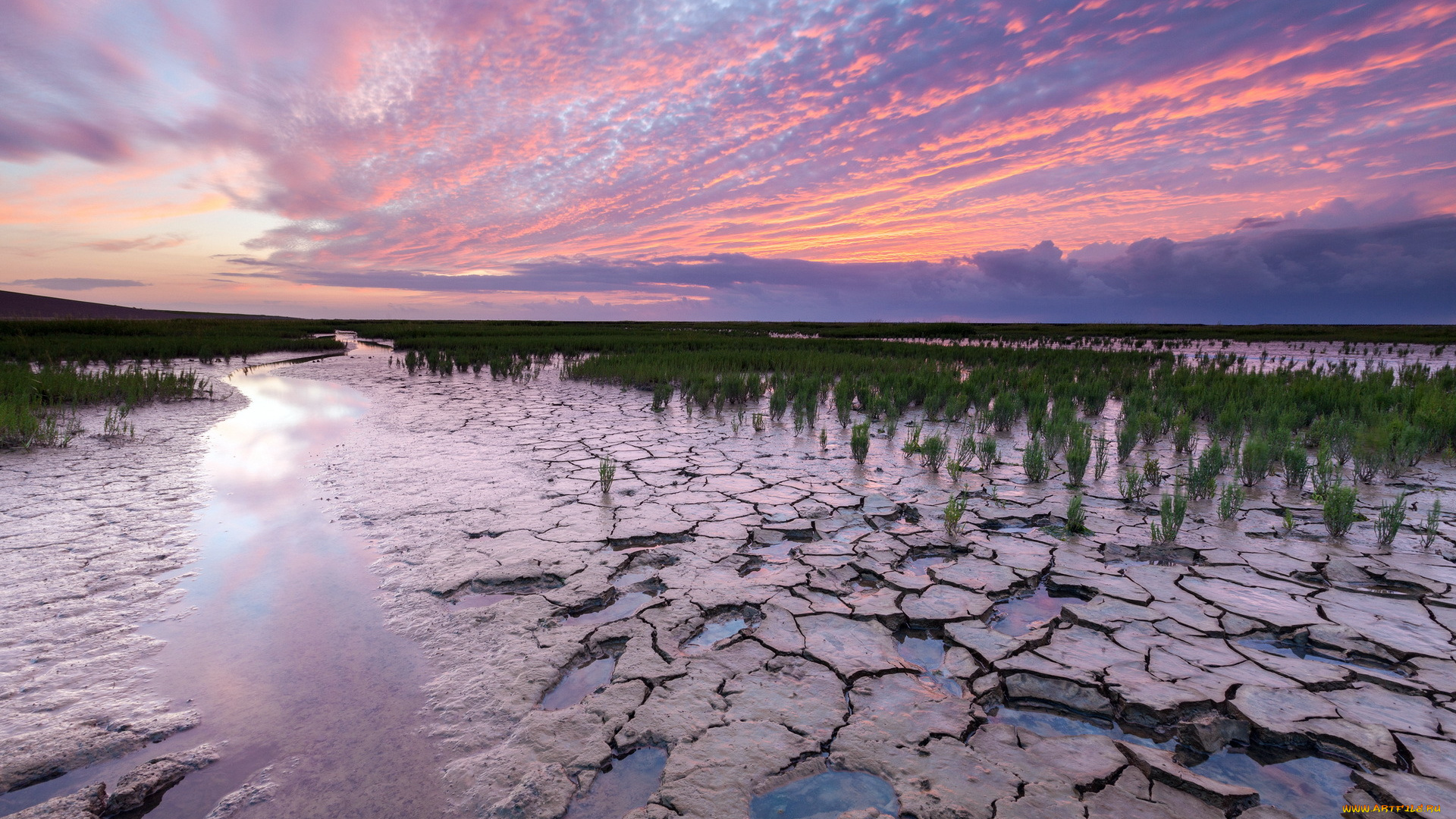 природа, поля, поле, вода, кусты, облака