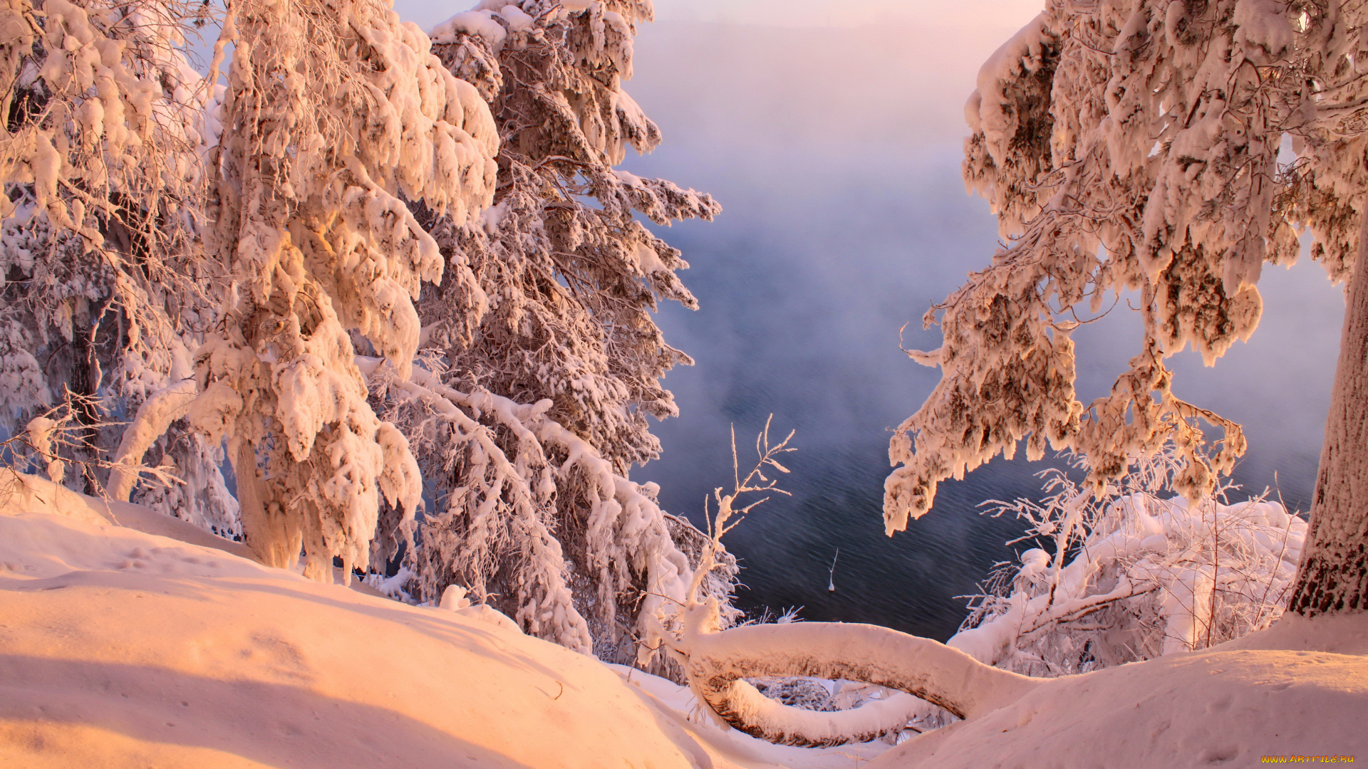 природа, зима, лес, снег