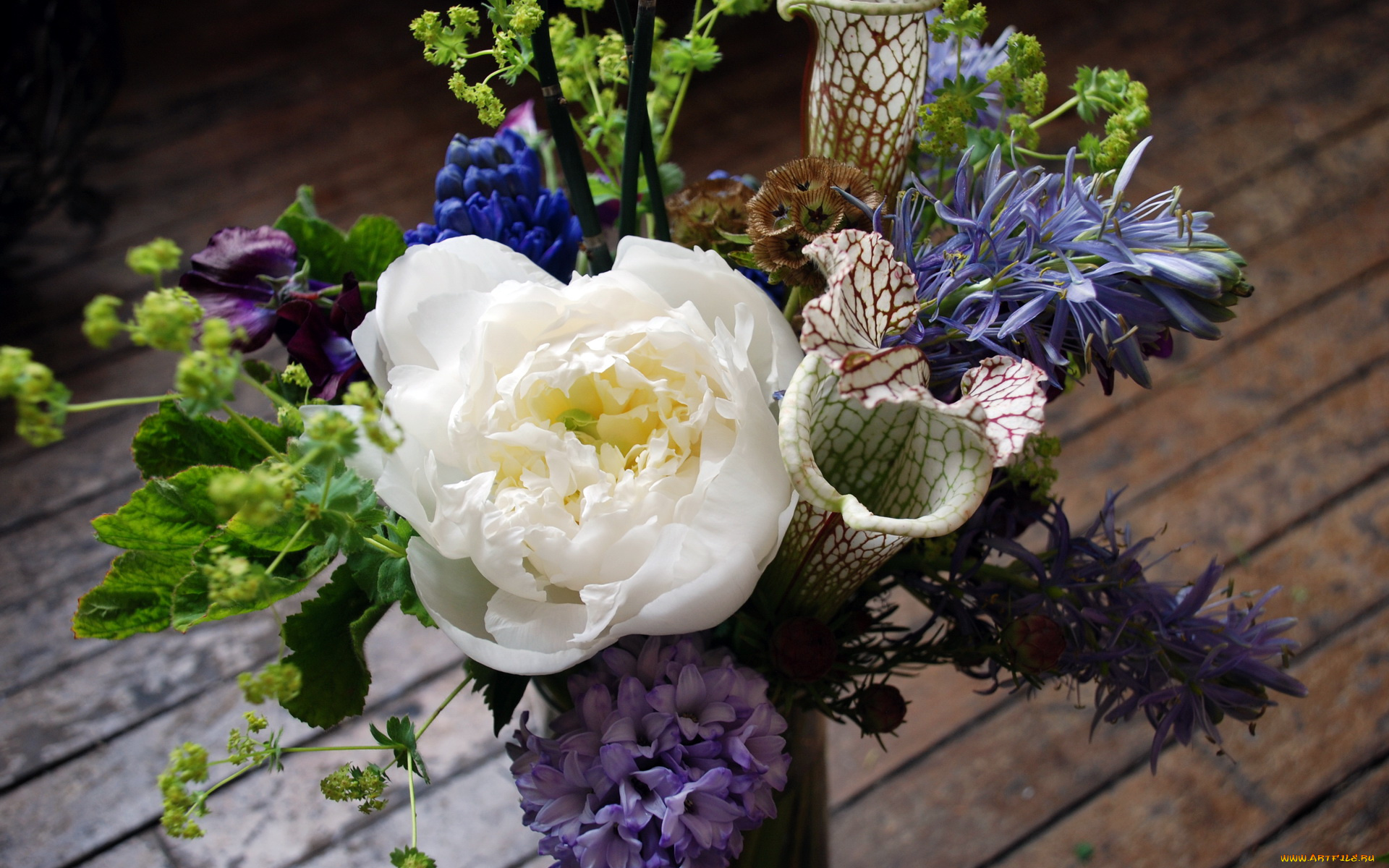 цветы, букеты, композиции, букет