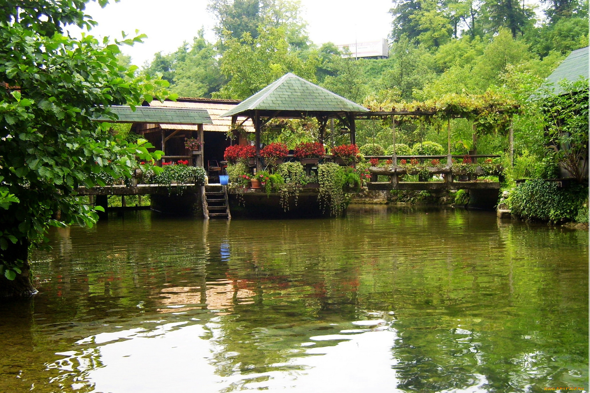 хорватия, слунь, природа, парк, цветы