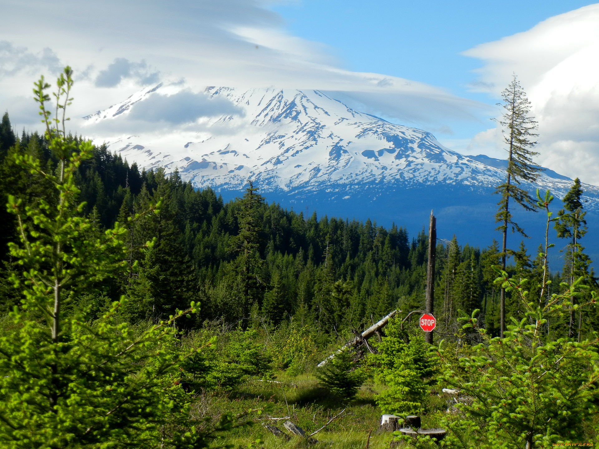gifford, pinchot, national, forest, washington, usa, природа, лес, горы