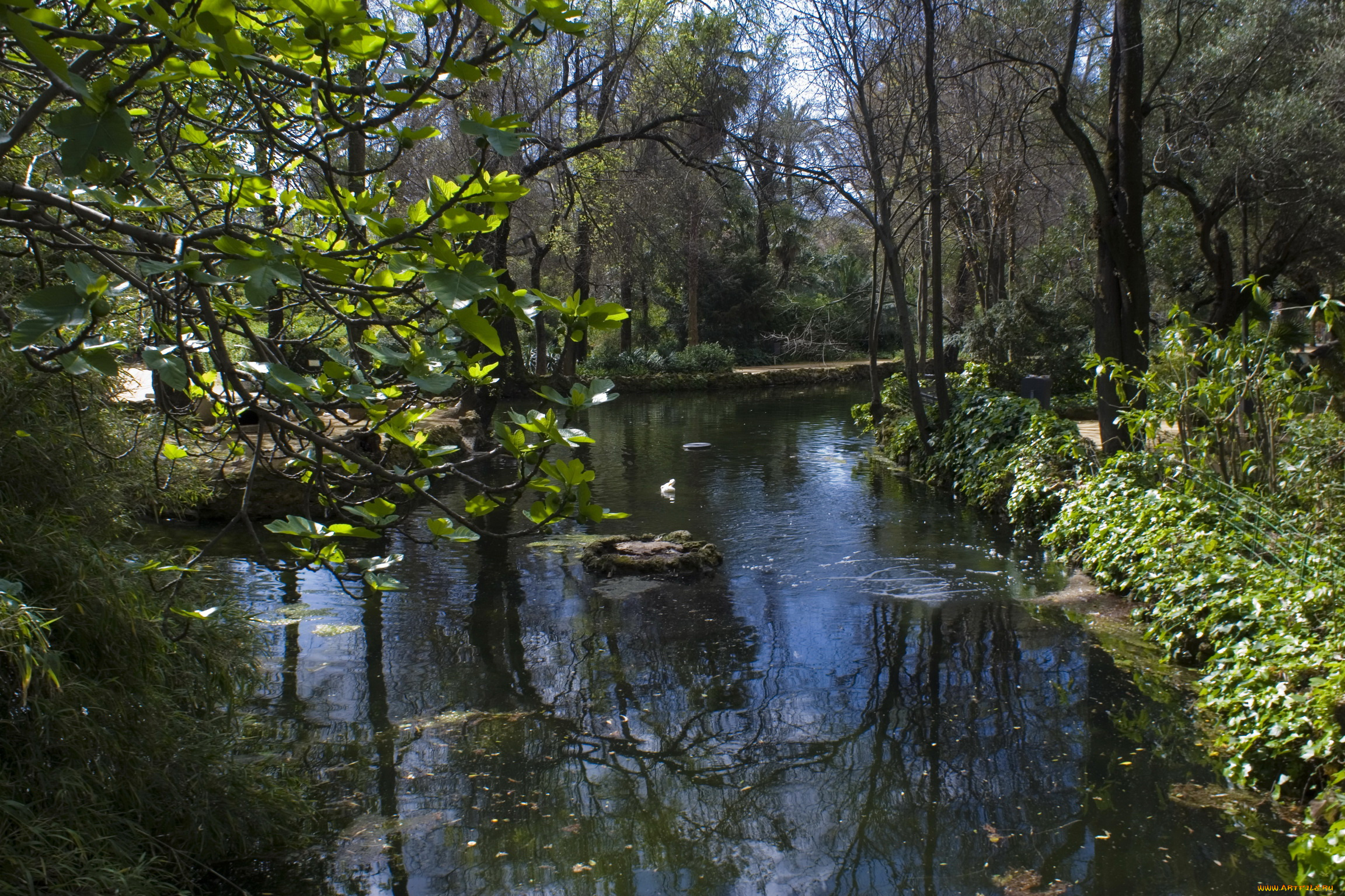 испания, андалусия, севилья, природа, парк, река, деревья