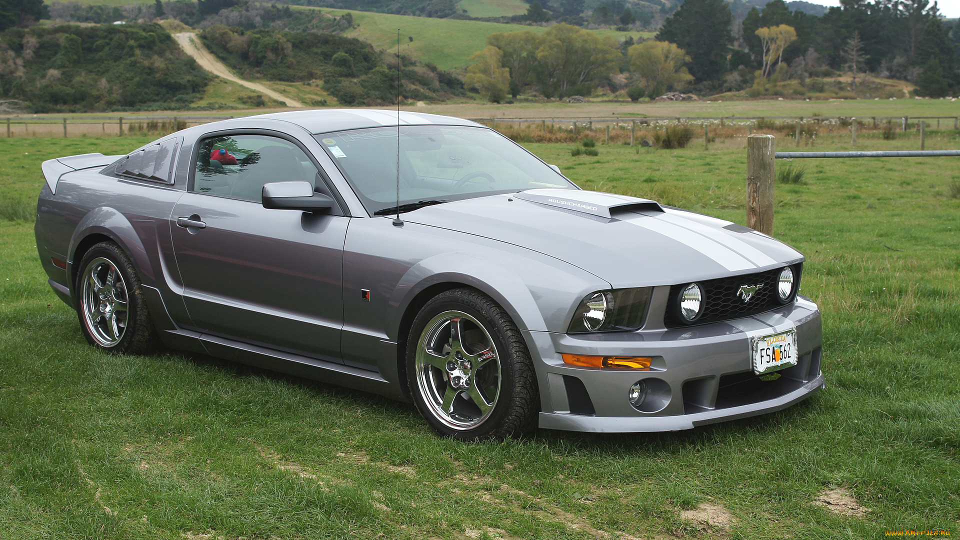 2006, ford, mustang, автомобили, выставки, и, уличные, фото, сша, ford, motor, company, mustang, автомобиль, культовый