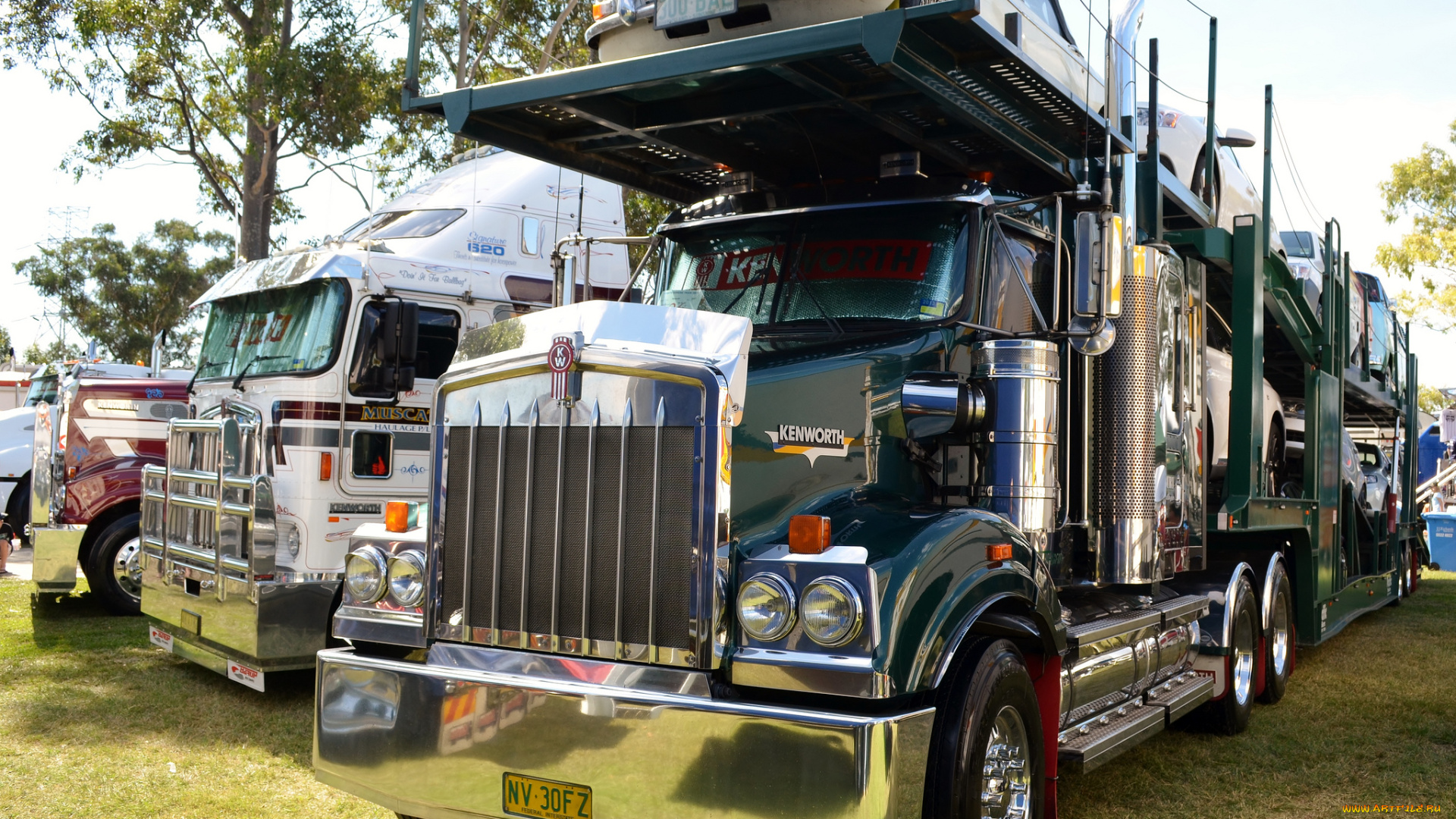 kenworth, автомобили, truck, company, грузовые, автобусы, сша, колеса, дорога, скорость, природа