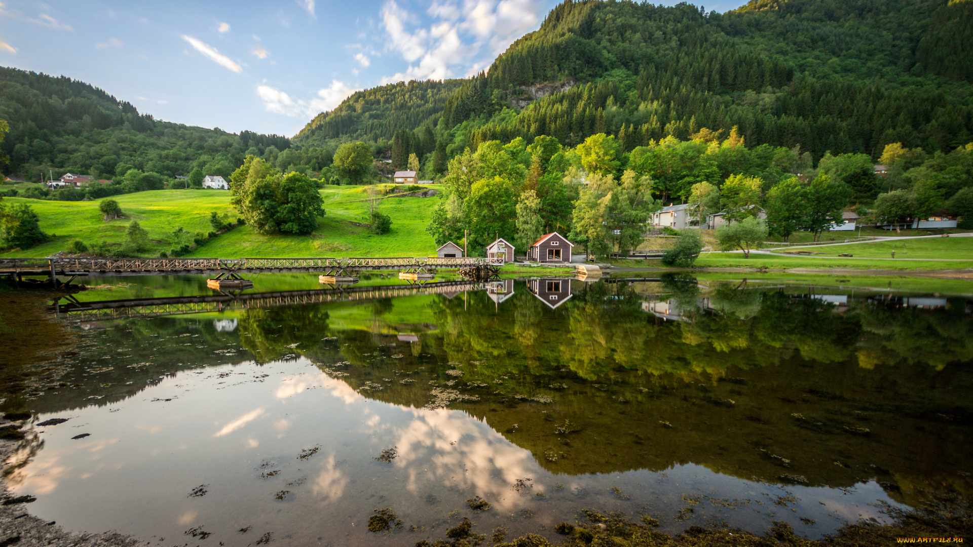 природа, реки, озера, лето, река, мост, растительность