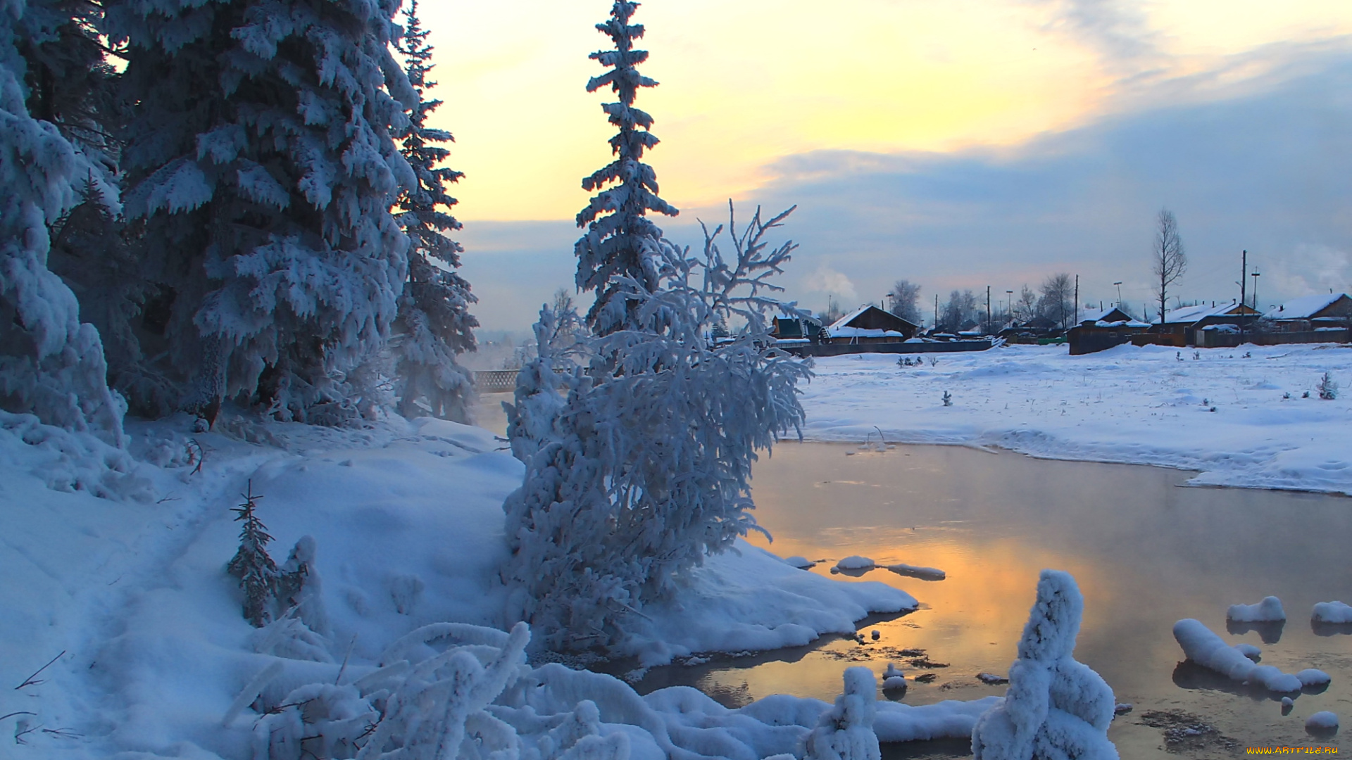 природа, зима, снег, елка