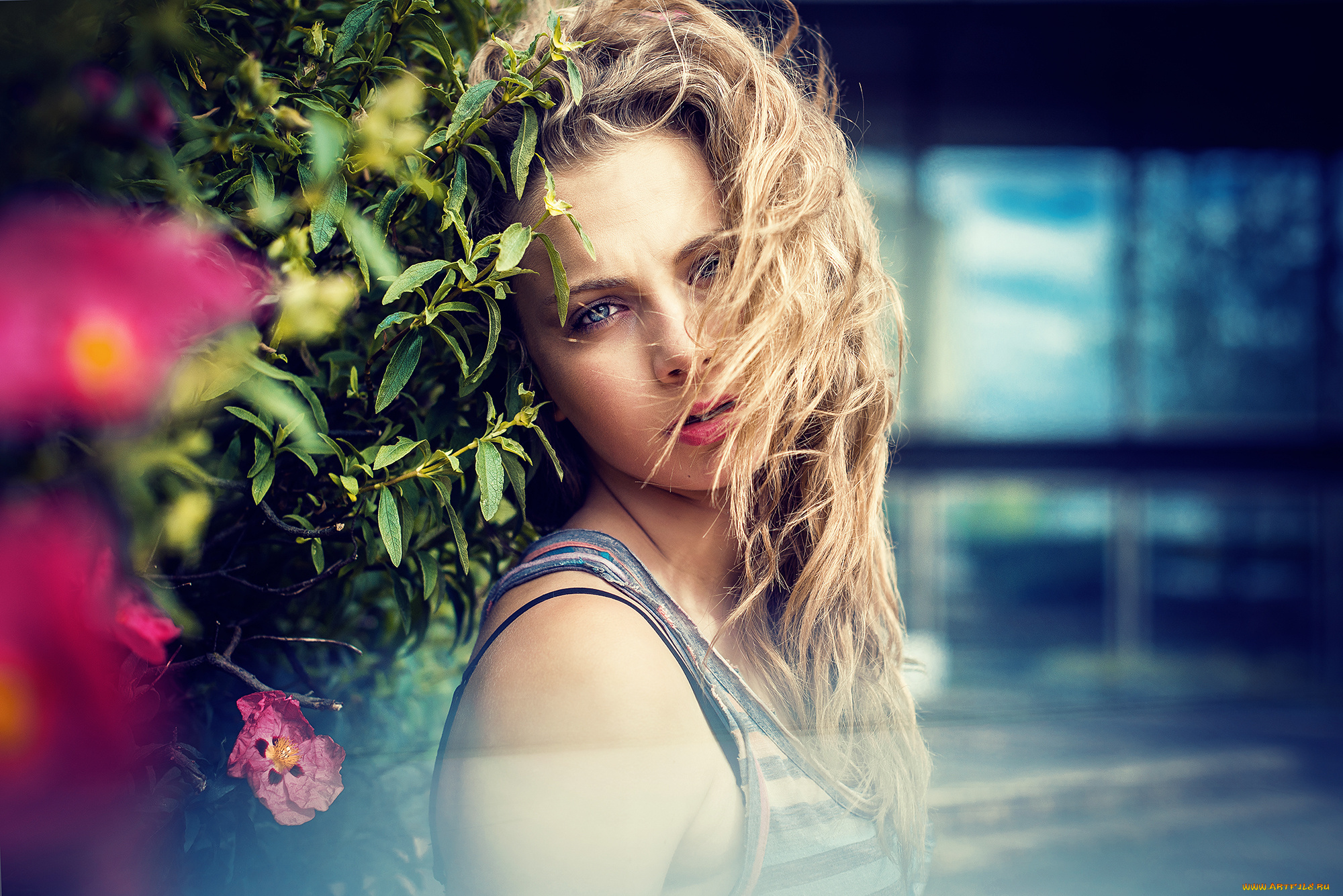 девушки, -unsort, , блондинки, куст