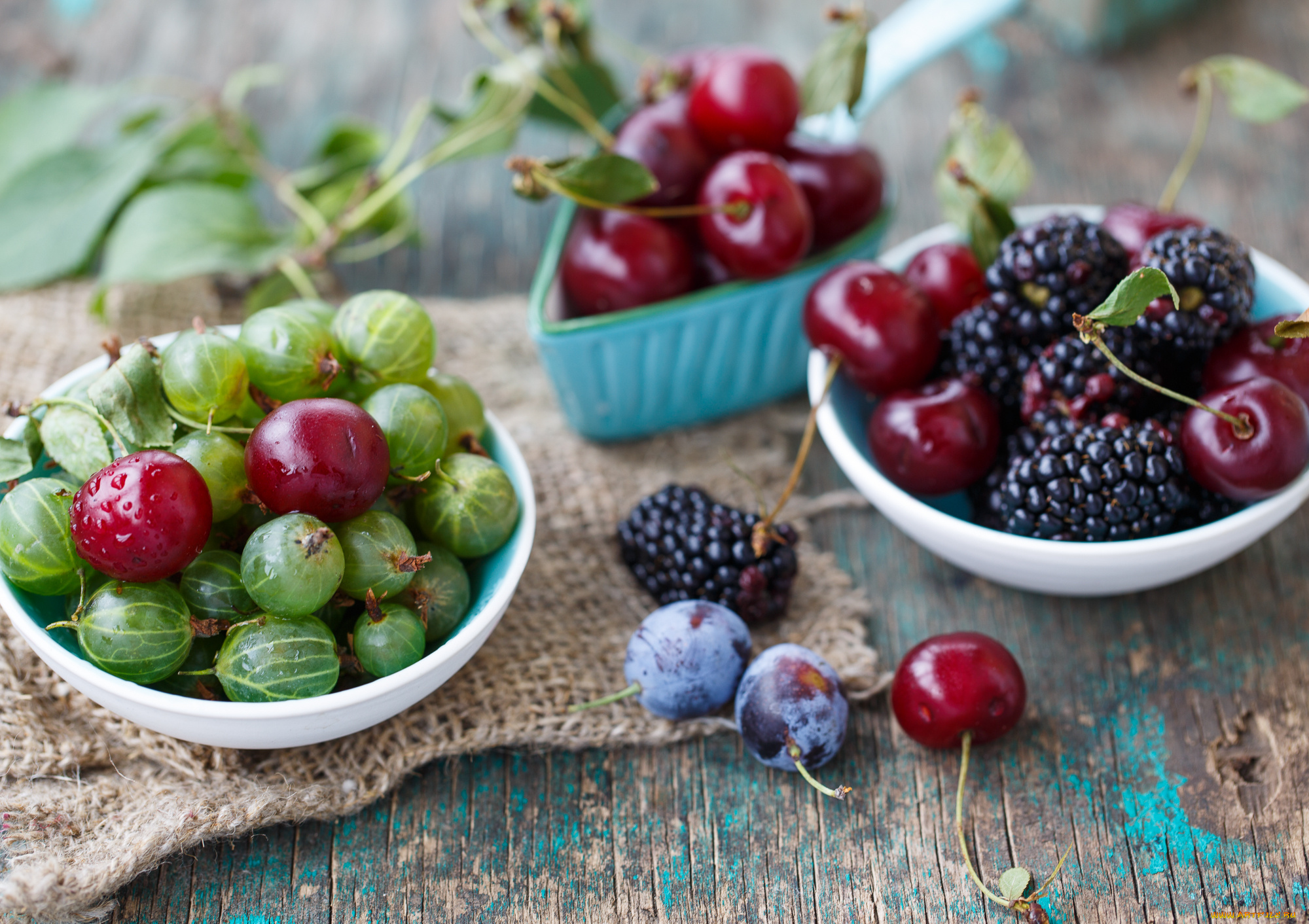 еда, фрукты, , ягоды, сливы, вишни, крыжовник