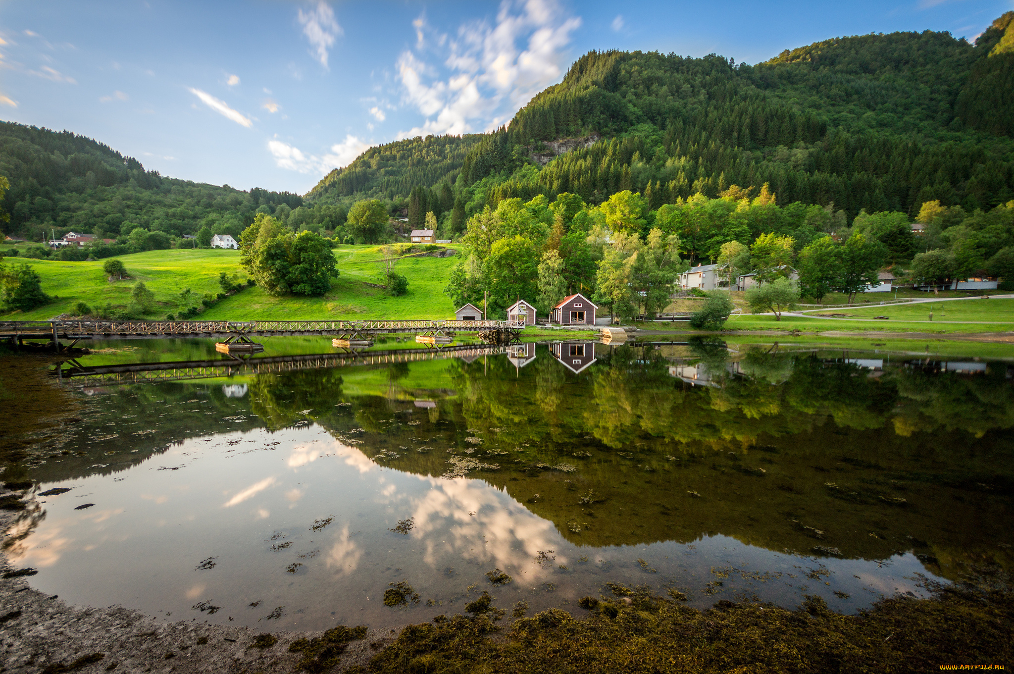 природа, реки, озера, лето, река, мост, растительность