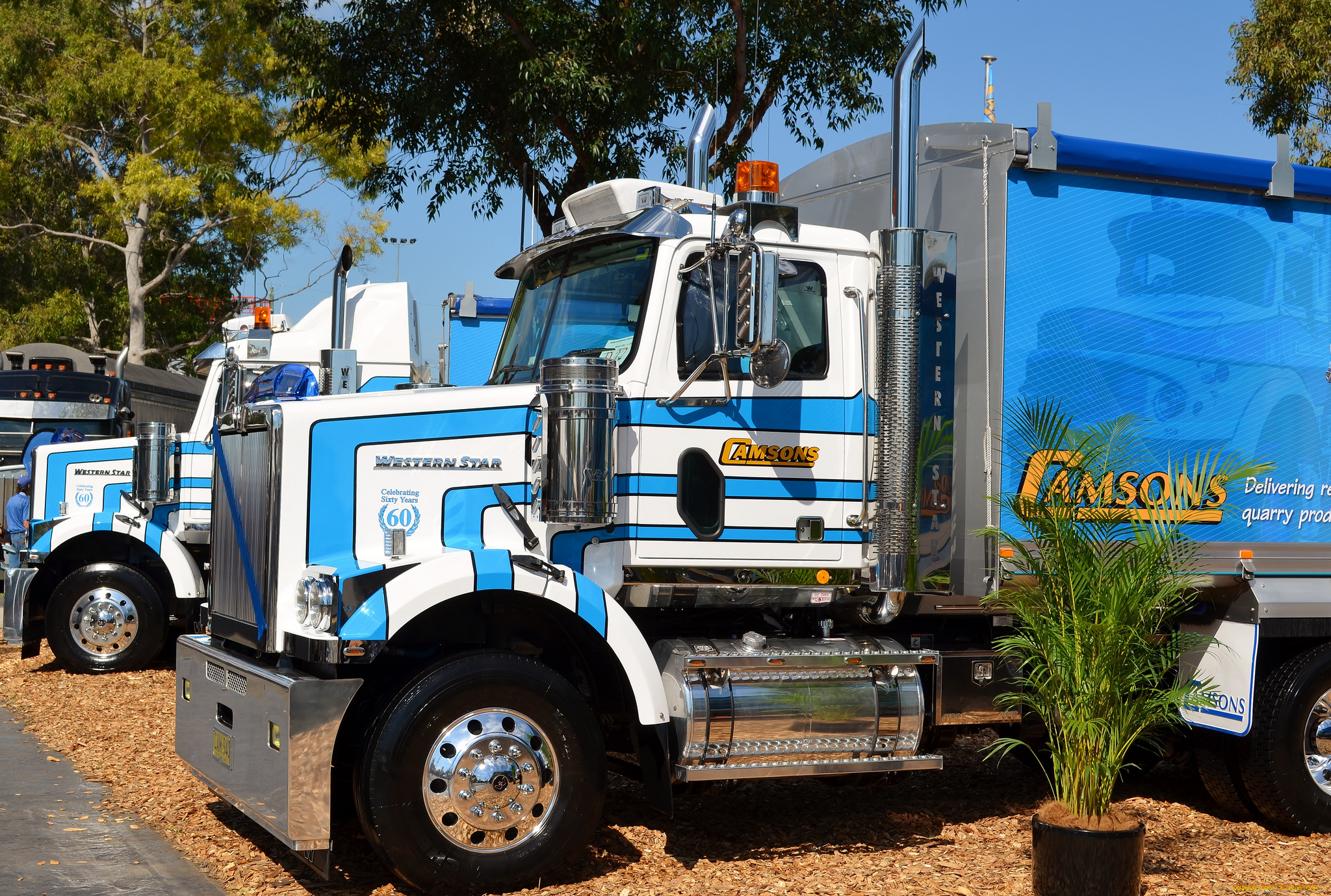 western, star, автомобили, сша, запчасти, грузовики, тяжелые, western, star, trucks