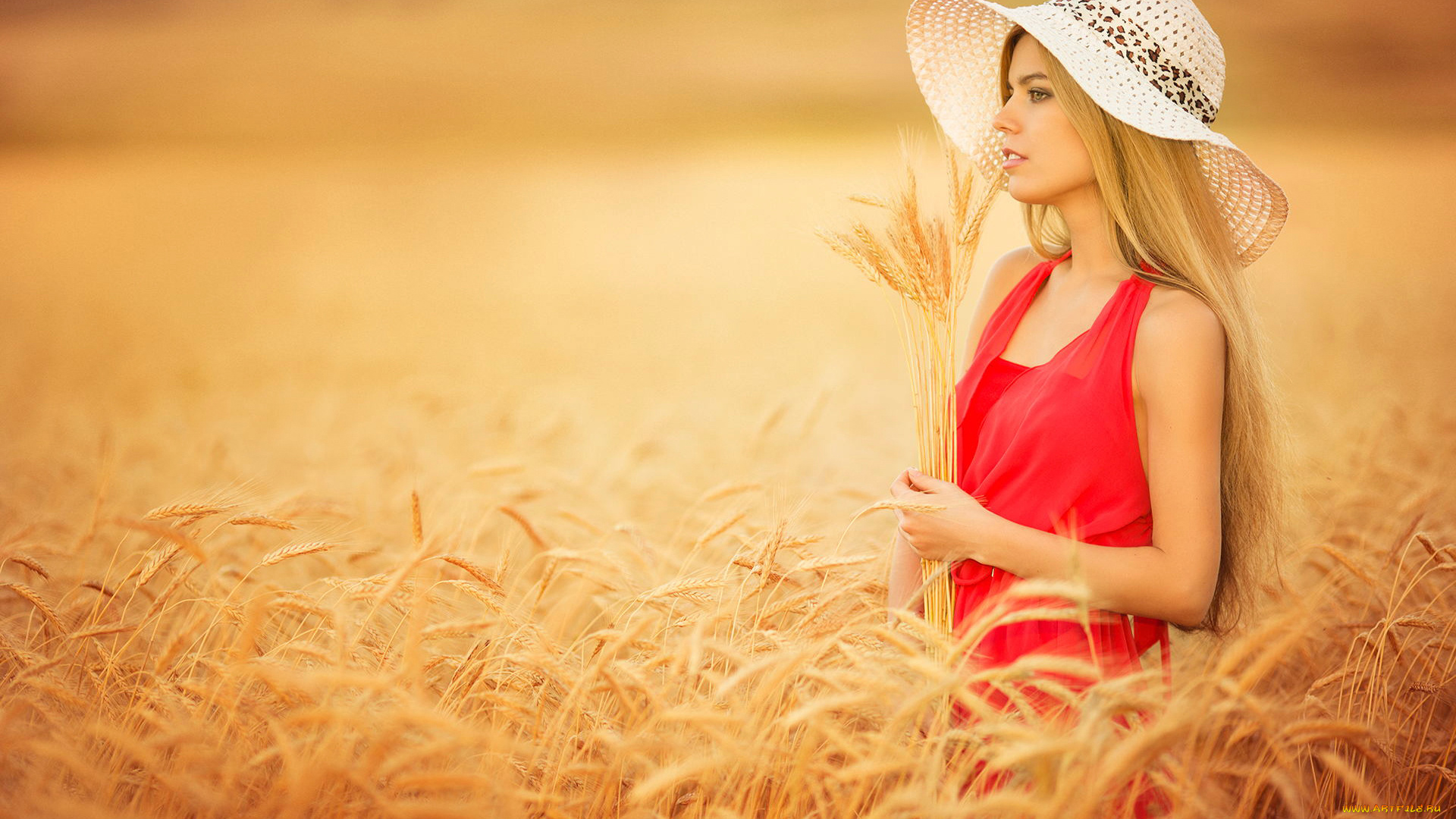 девушки, -unsort, , блондинки, поле, колоски, девушка, в, красном, шляпка