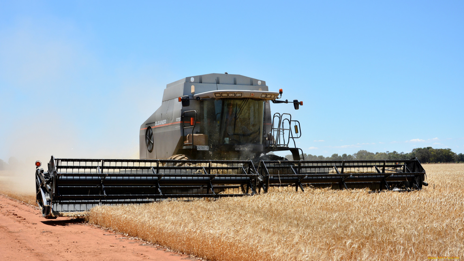 техника, комбайны, комбайн, поле