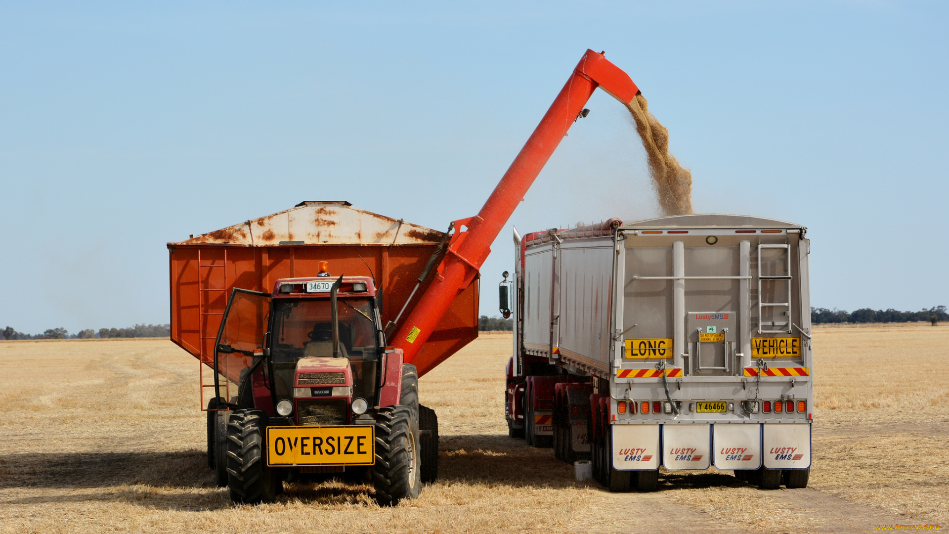 техника, комбайны, поле, комбайн