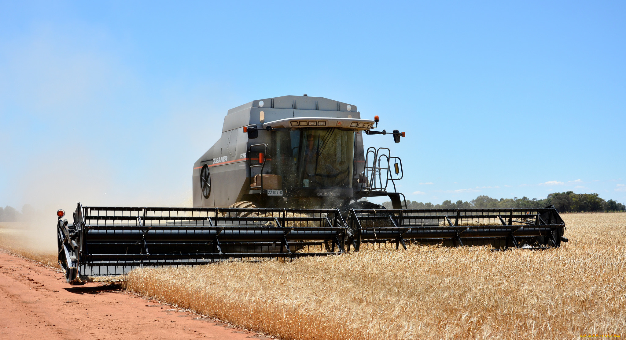 техника, комбайны, комбайн, поле