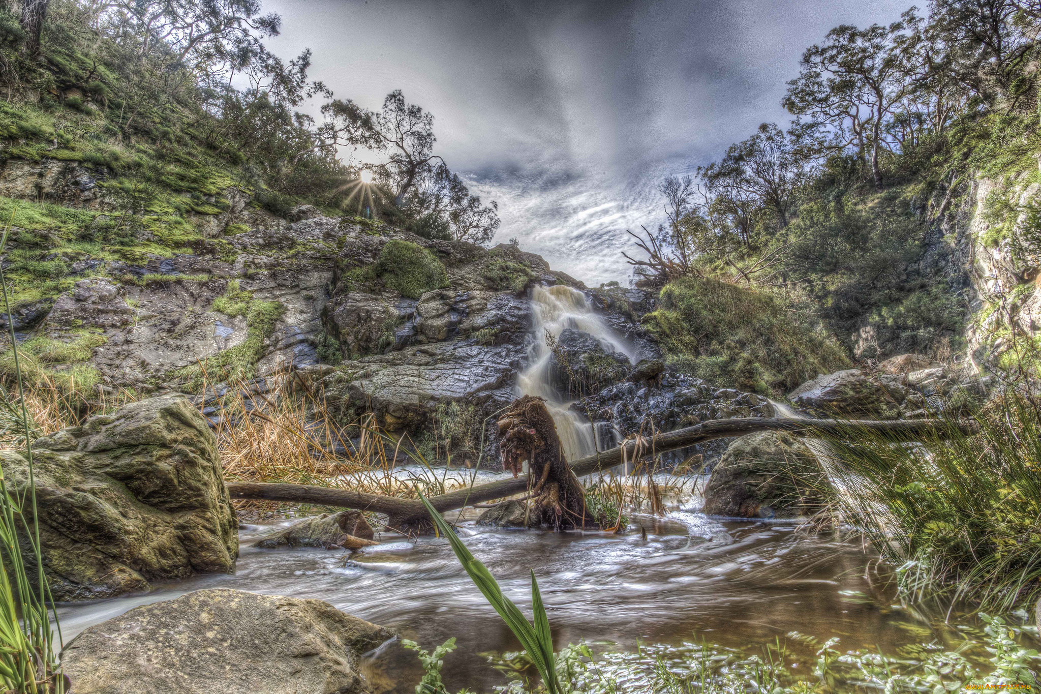 природа, реки, озера, река, лес, горы